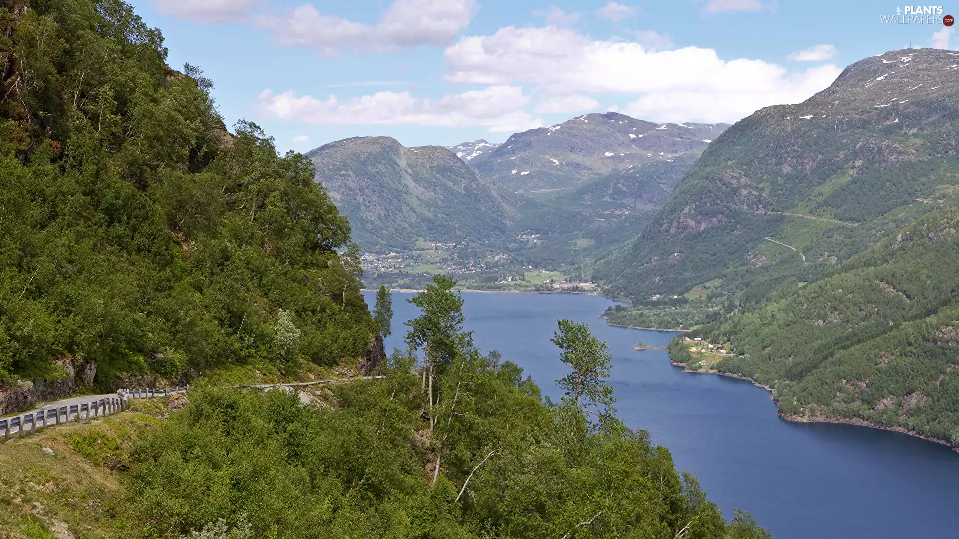 forest, Mountains, viewes, VEGETATION, trees, River