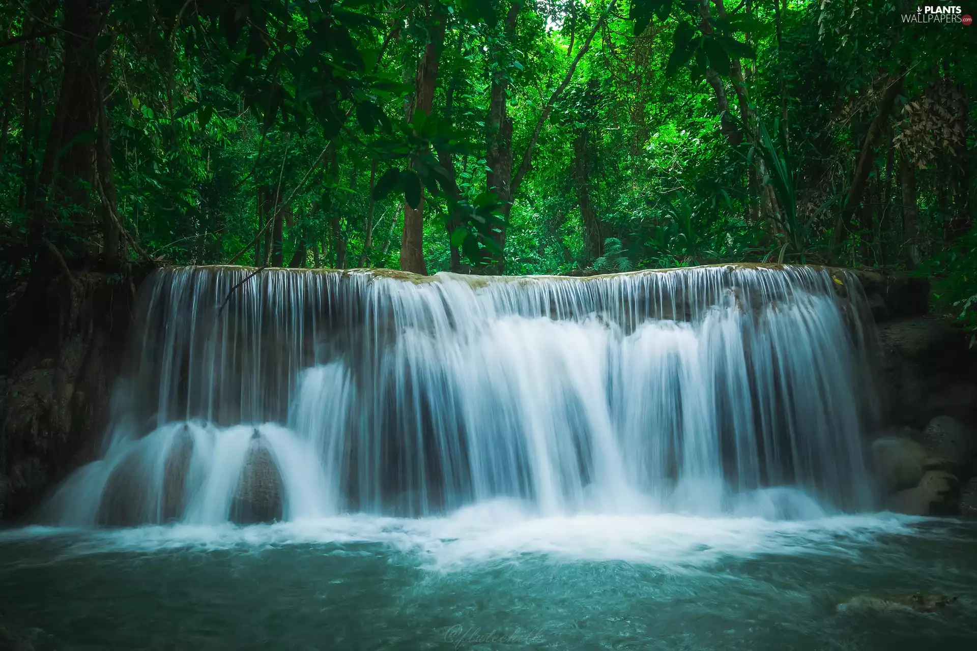 forest, waterfall, viewes, VEGETATION, trees, River