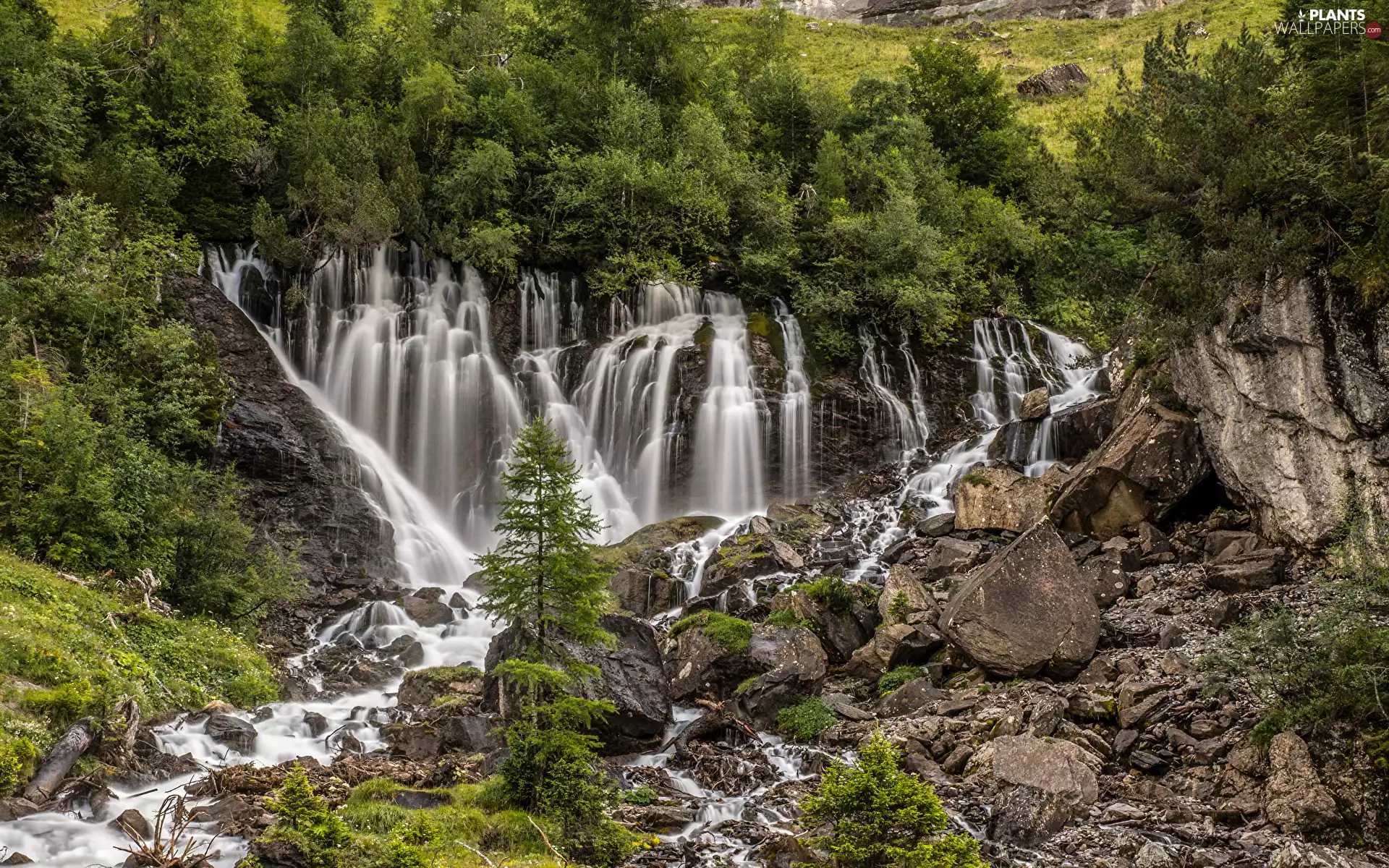Stones, waterfall, viewes, VEGETATION, trees, rocks