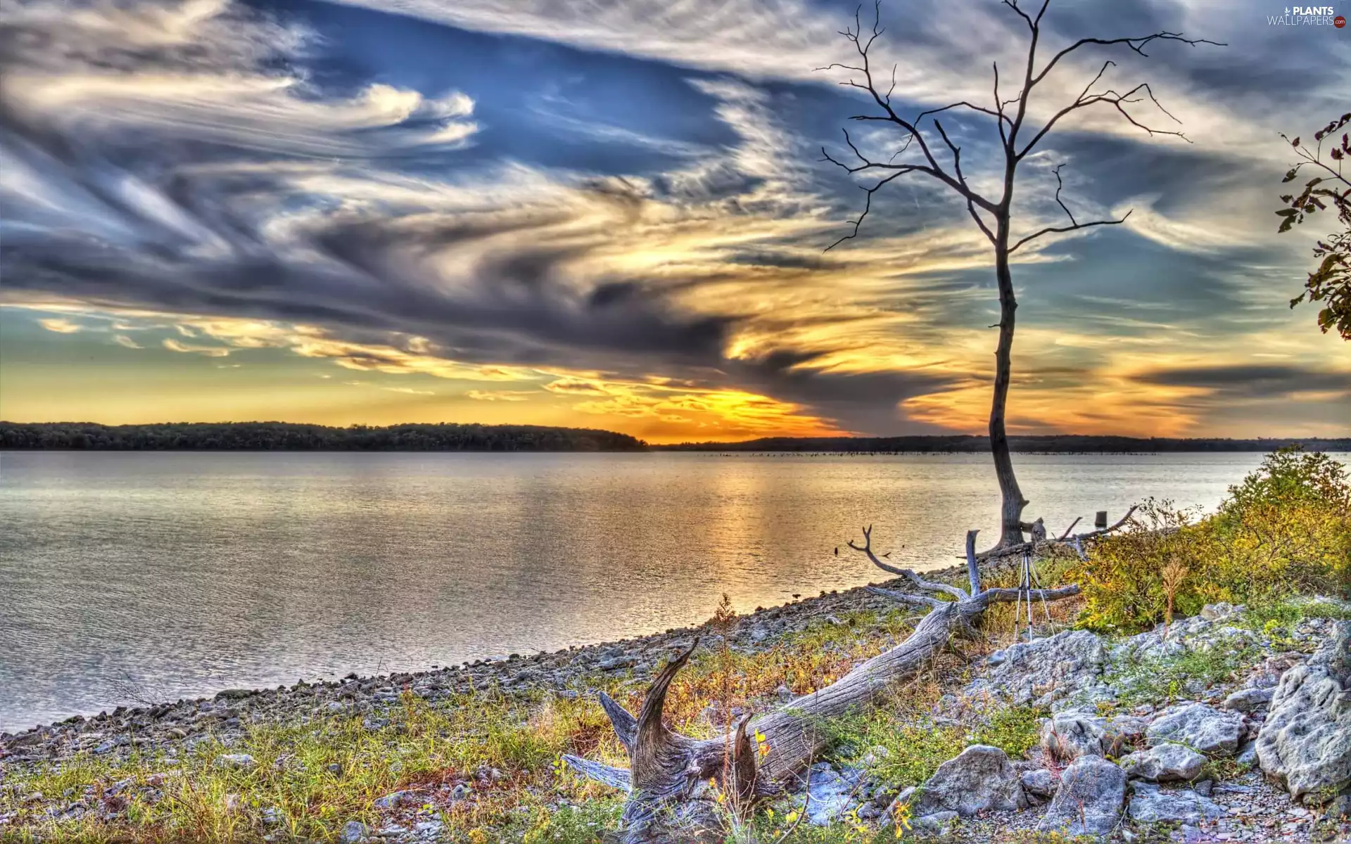 Great Sunsets, Stones, viewes, Sky, lake, trees, VEGETATION