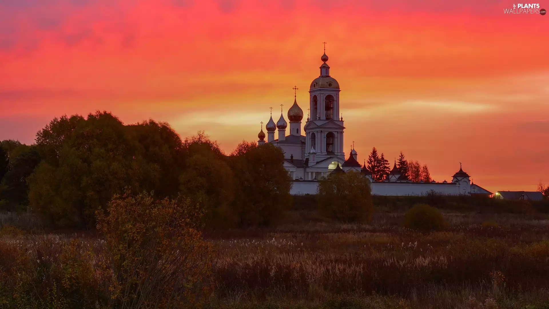 trees, Great Sunsets, VEGETATION, Cerkiew, viewes, autumn
