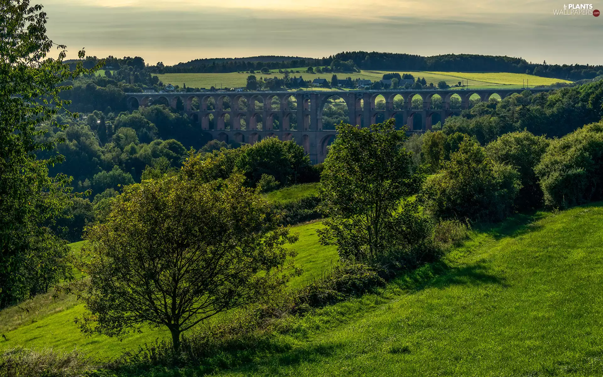medows, bridge, viewes, field, The Hills, trees, VEGETATION