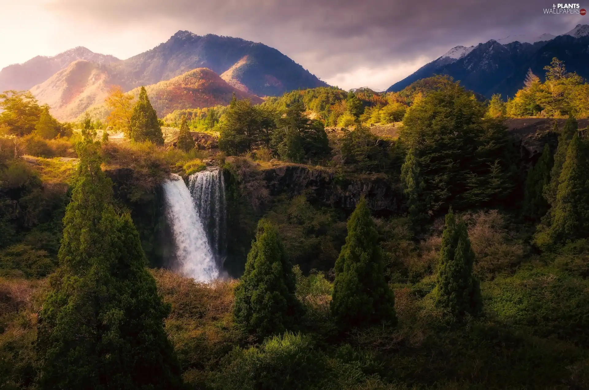 viewes, VEGETATION, waterfall, trees, Mountains