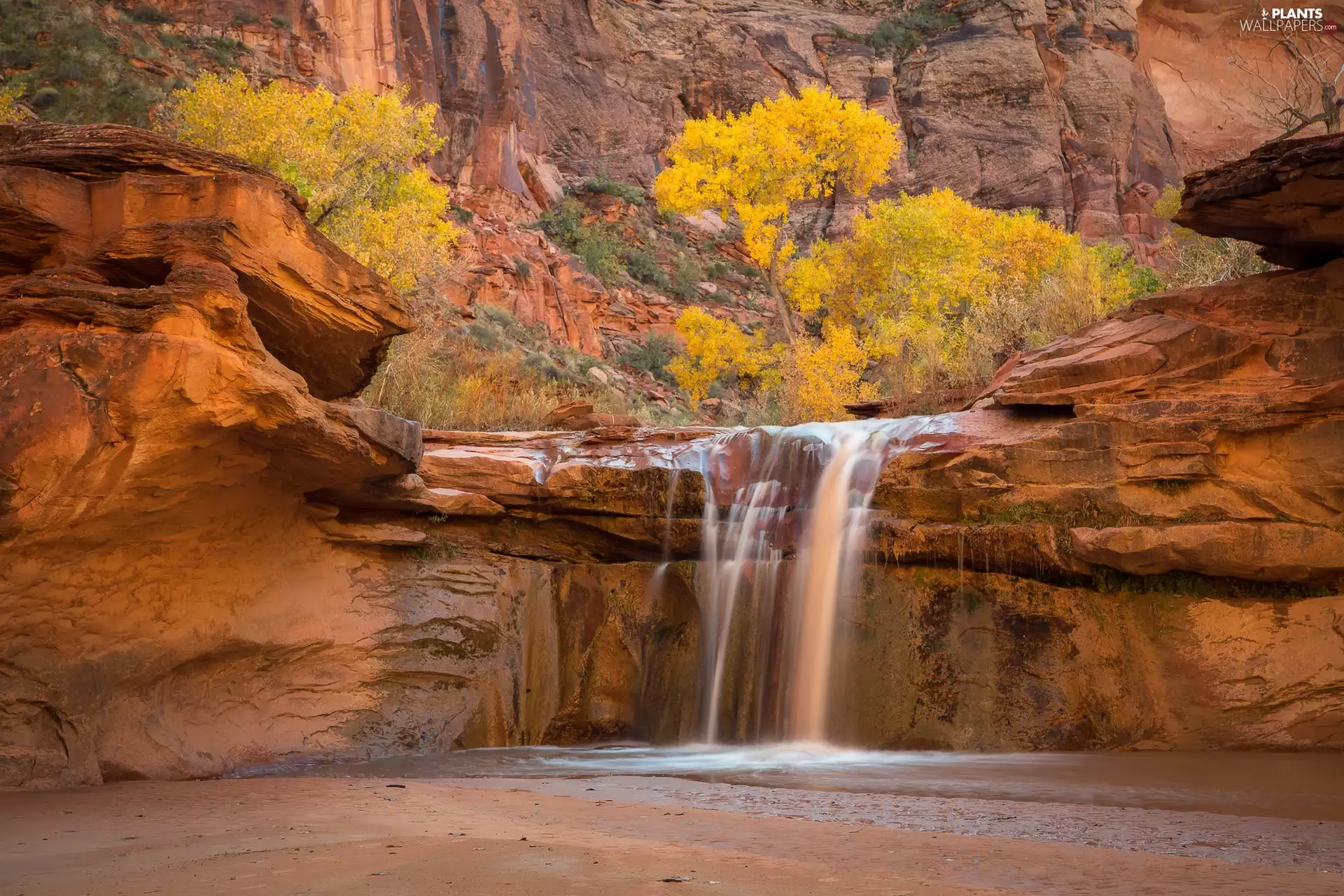 trees, waterfall, rocks, VEGETATION, viewes, Yellowed