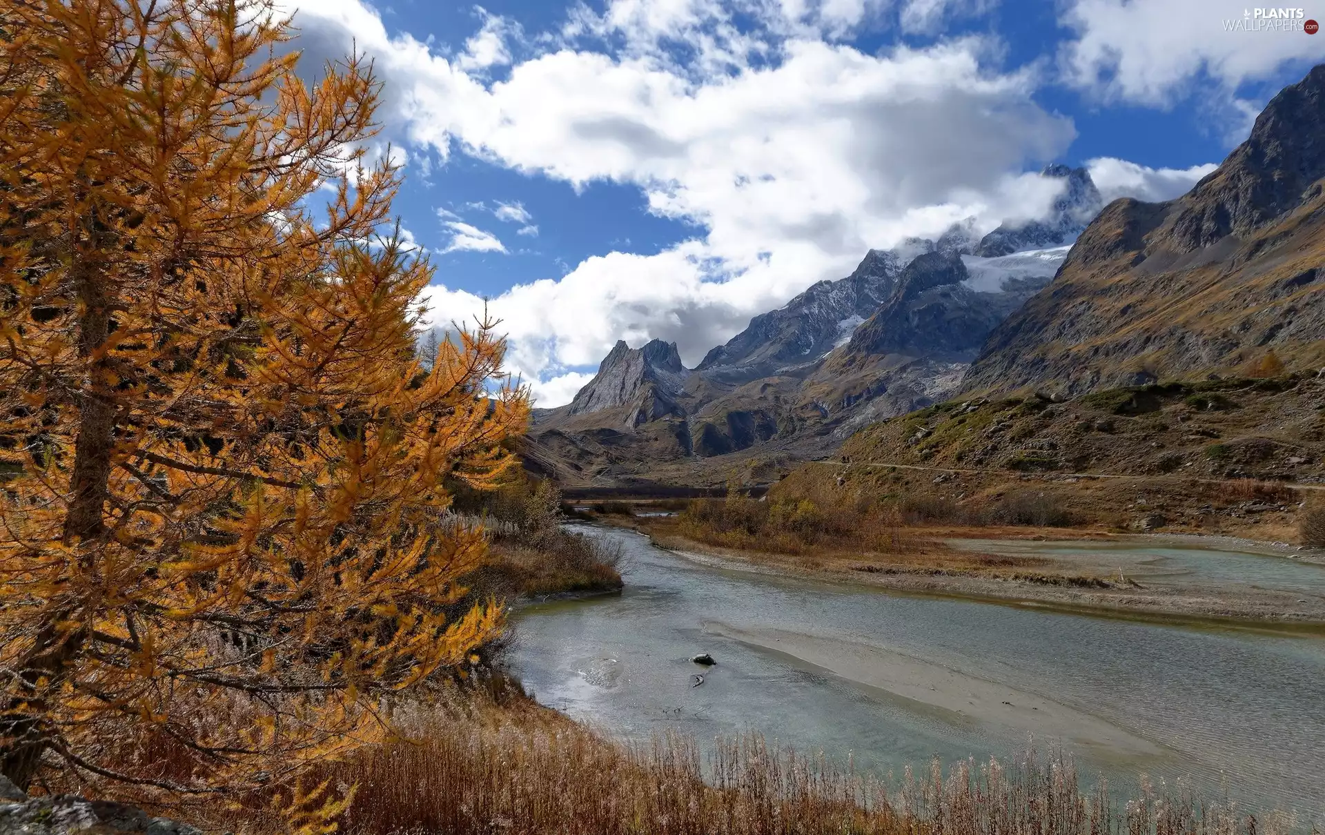 Graian Alps, Italy, Mont Blanc massif, Val Veny Valley, Mountains, trees, autumn, River, Combal Lake