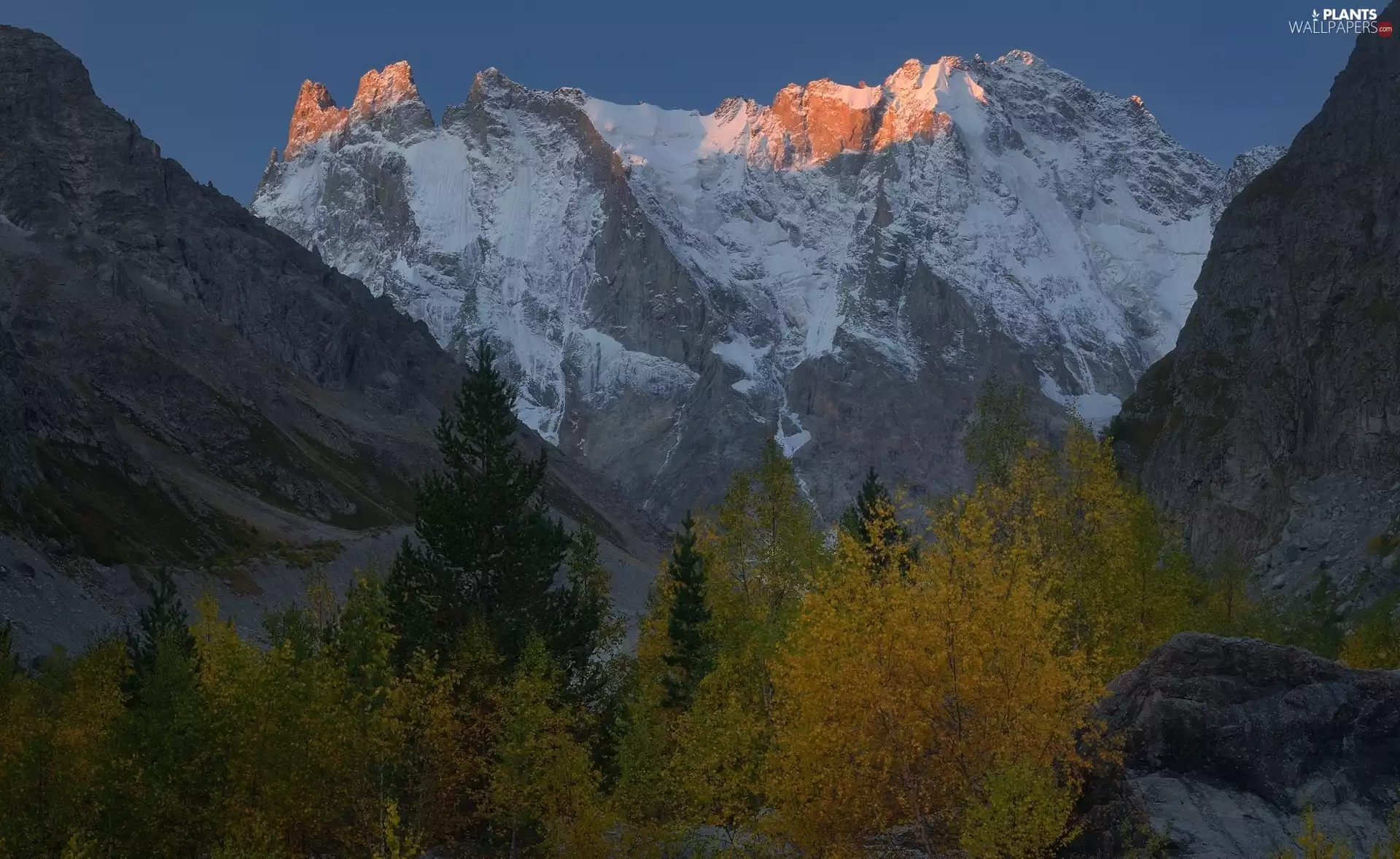 peaks, Mountains, viewes, vertices, trees, snowy