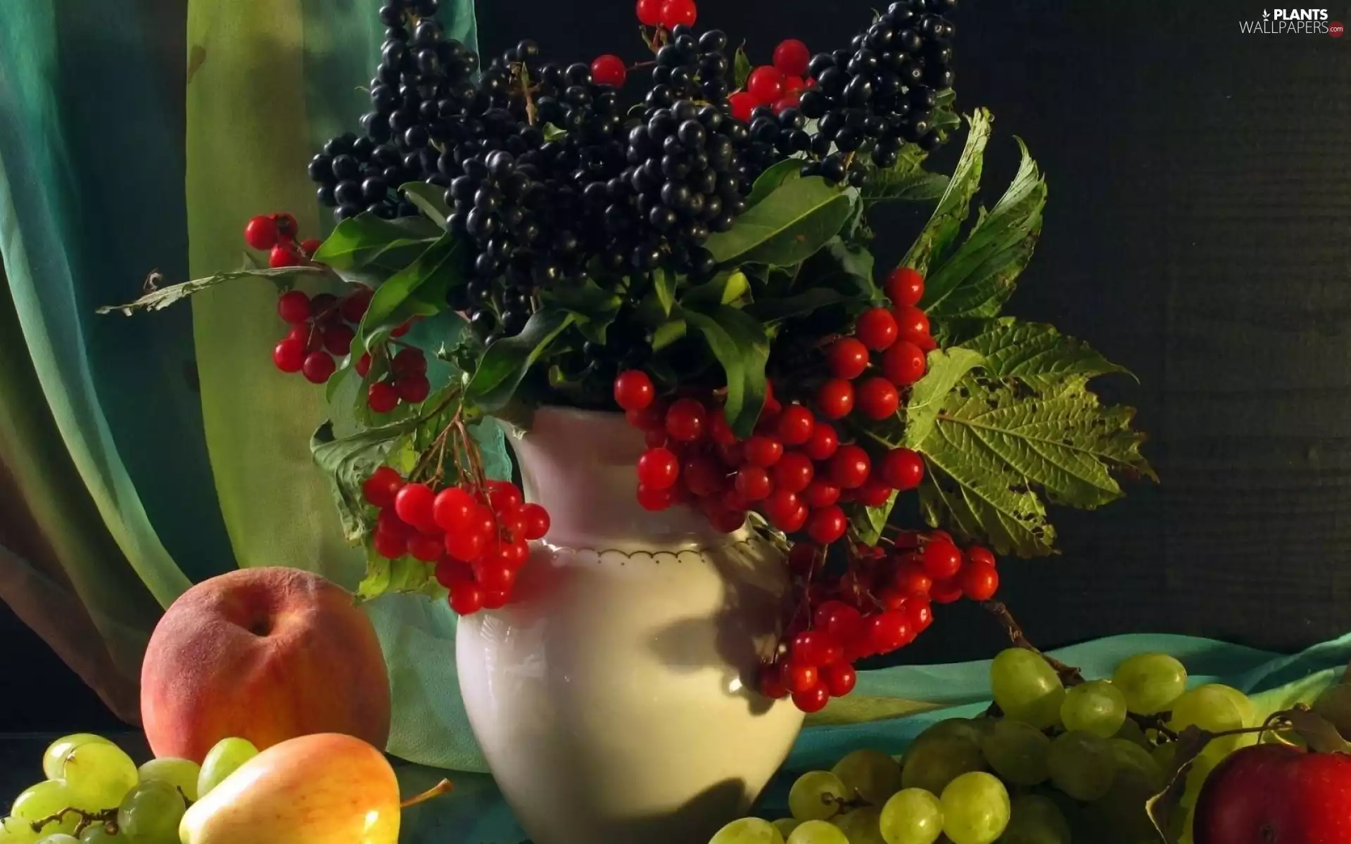 bouquet, pitcher, Leaf, Viburnum