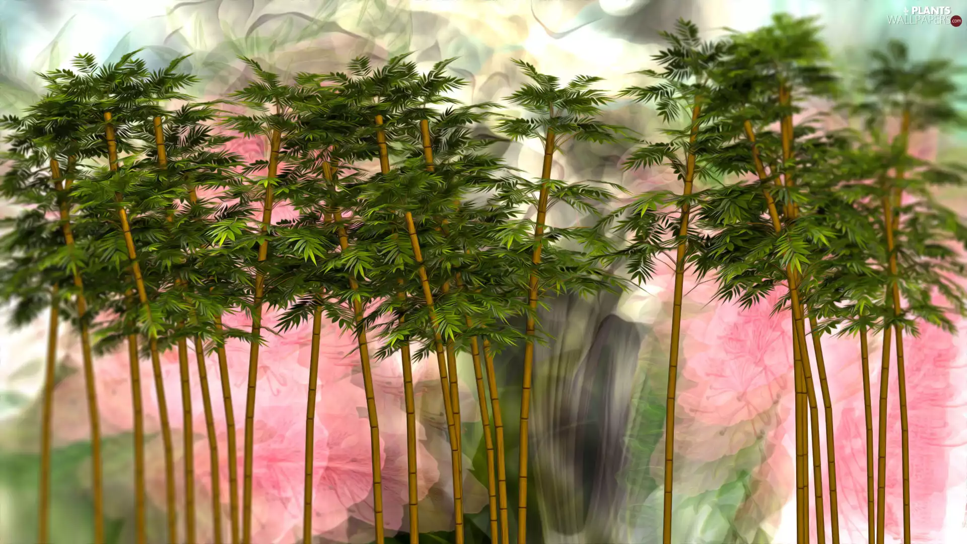 2D Graphics, trees, viewes