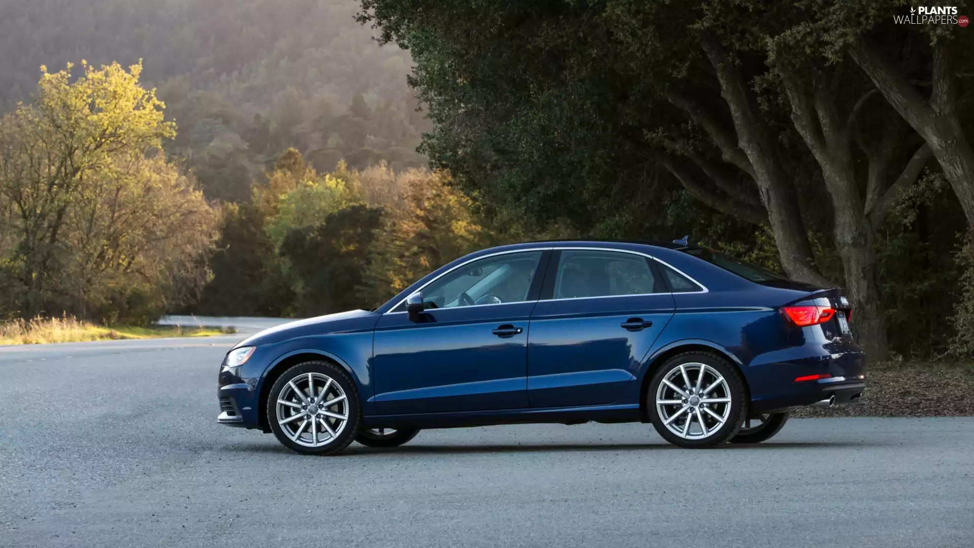 trees, viewes, A3, Way, Audi