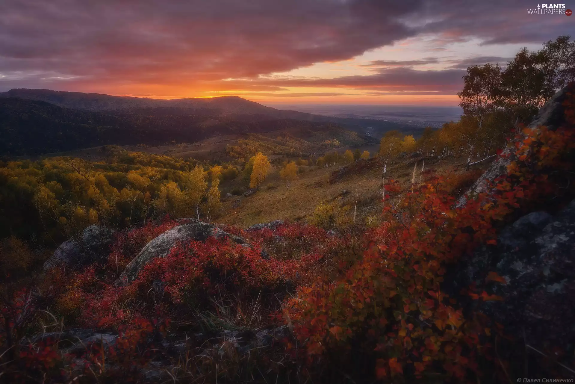 Great Sunsets, Altai Mountains, autumn, birch, Altai Republic, Russia, viewes, rocks, trees