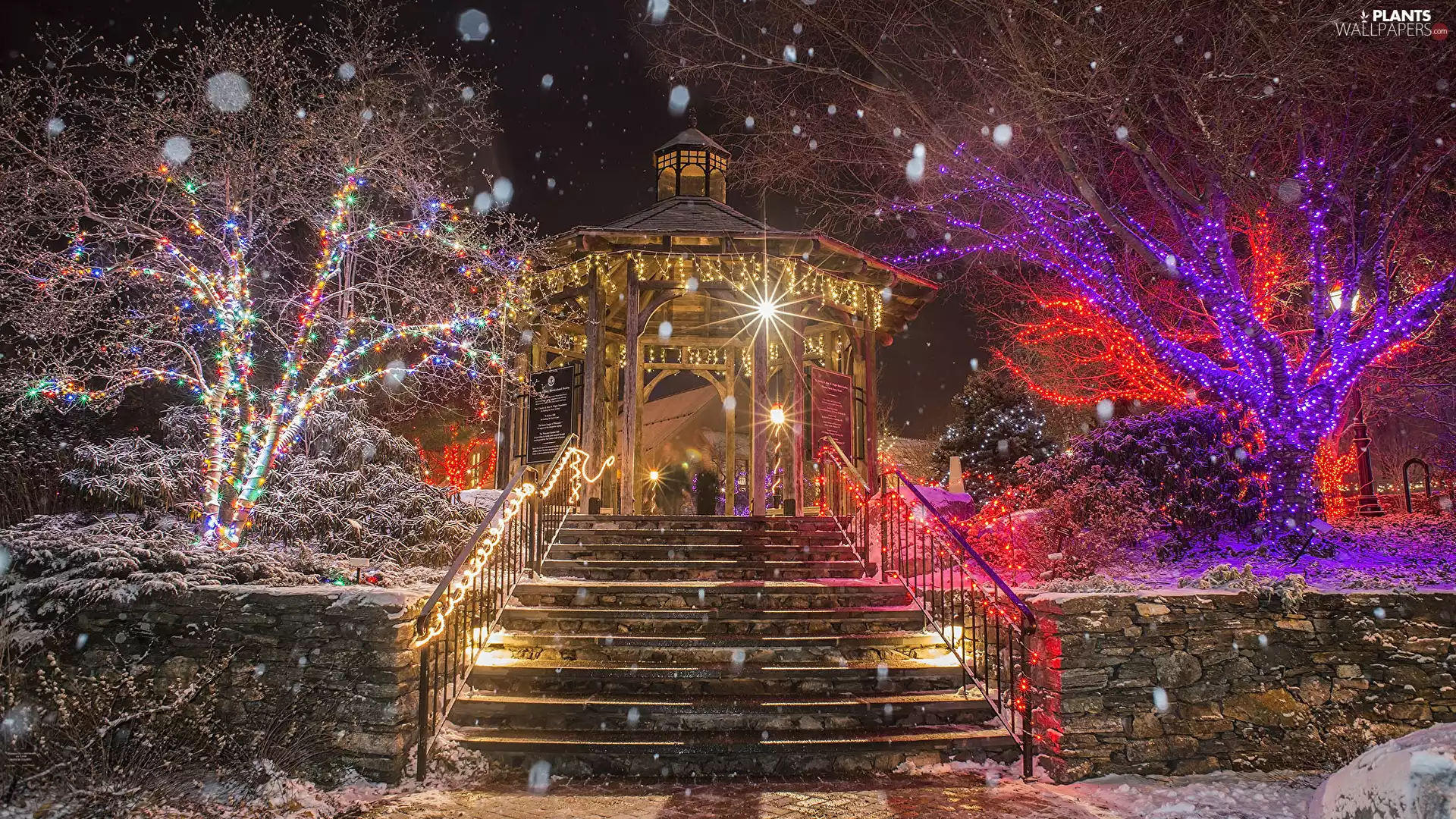 lighting, illumination, arbour, trees, Stairs, Night, Christmas, viewes