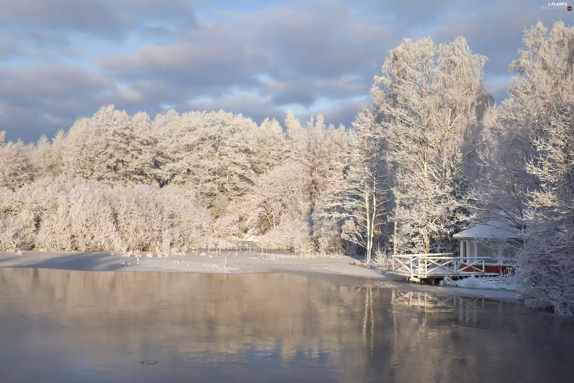 trees, viewes, arbour, Snowy, lake