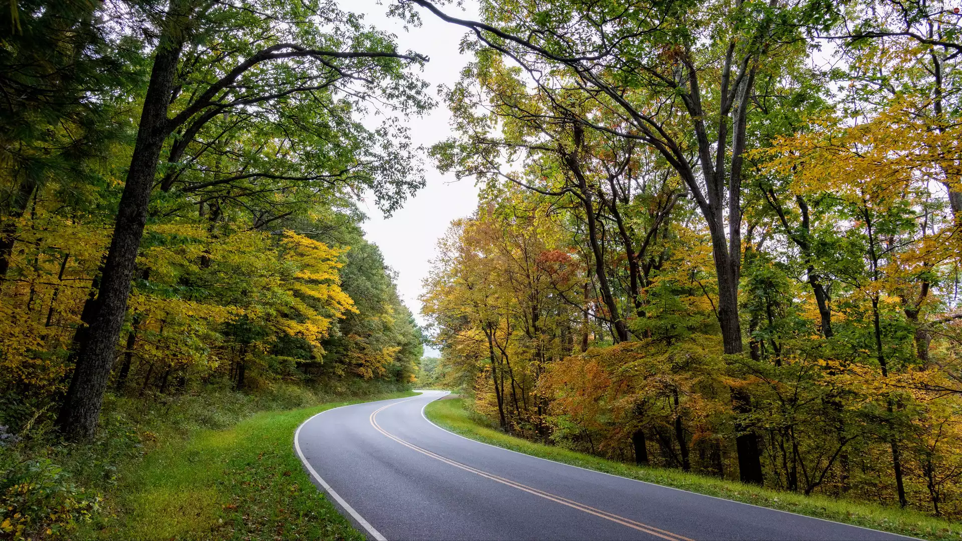 Way, winding, trees, viewes, autumn, asphalt