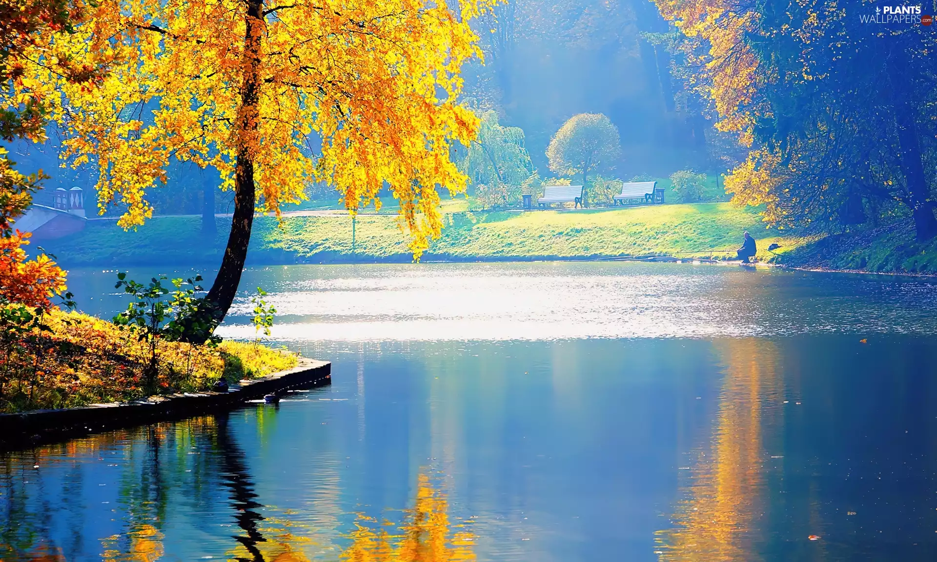 lake, Golden automobile, viewes, reflection, trees, autumn