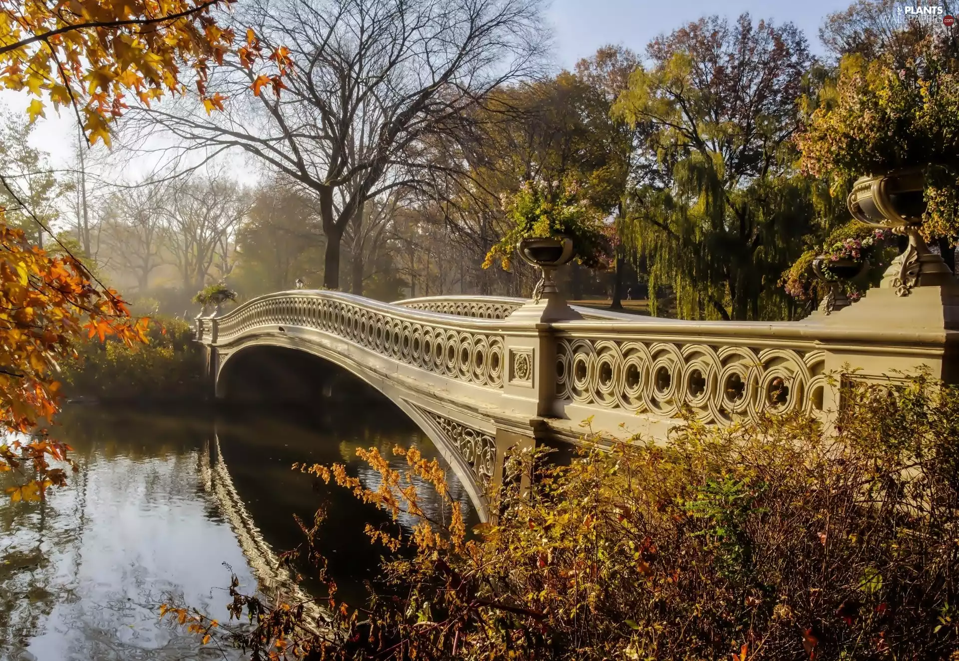 trees, viewes, autumn, River, bridge