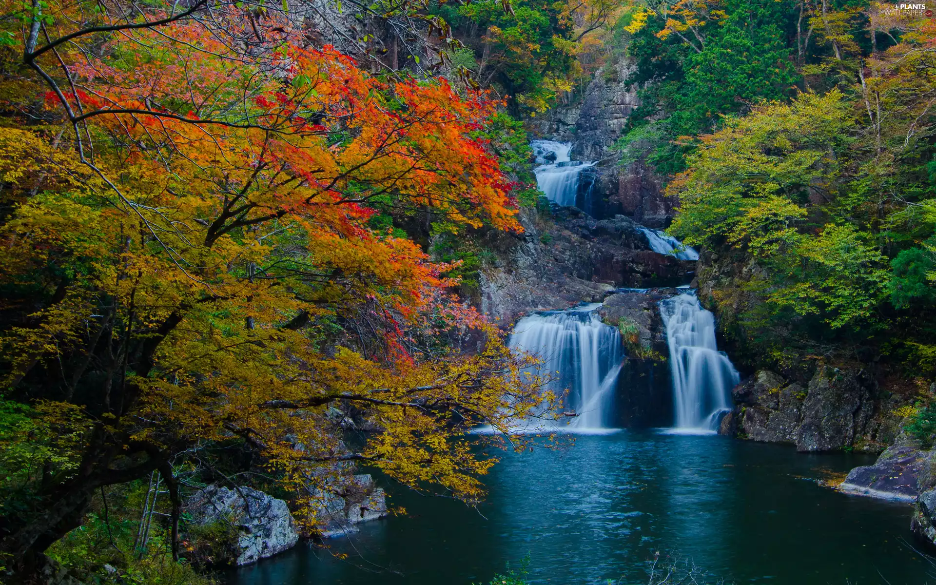 River, forest, autumn, trees, rocks, cascade, waterfall, viewes