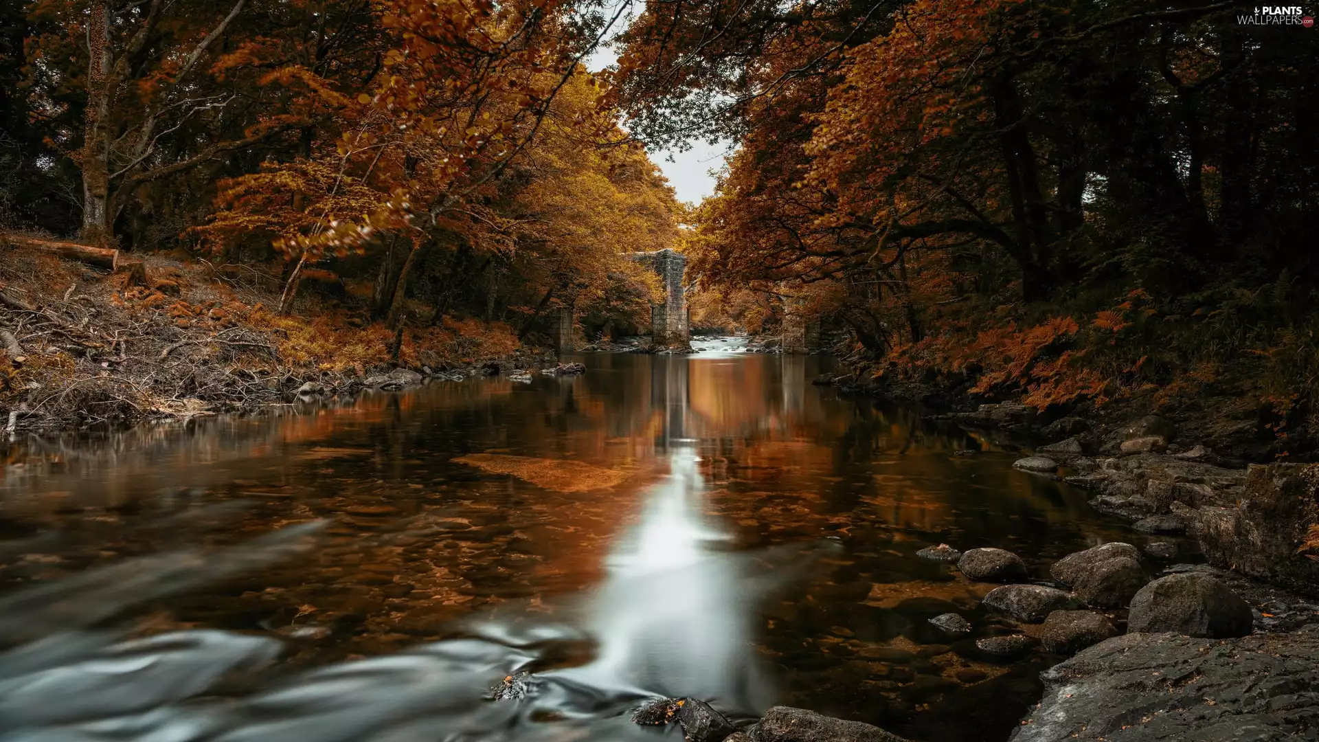 bridge, forest, autumn, trees, Stones, stone, River, viewes