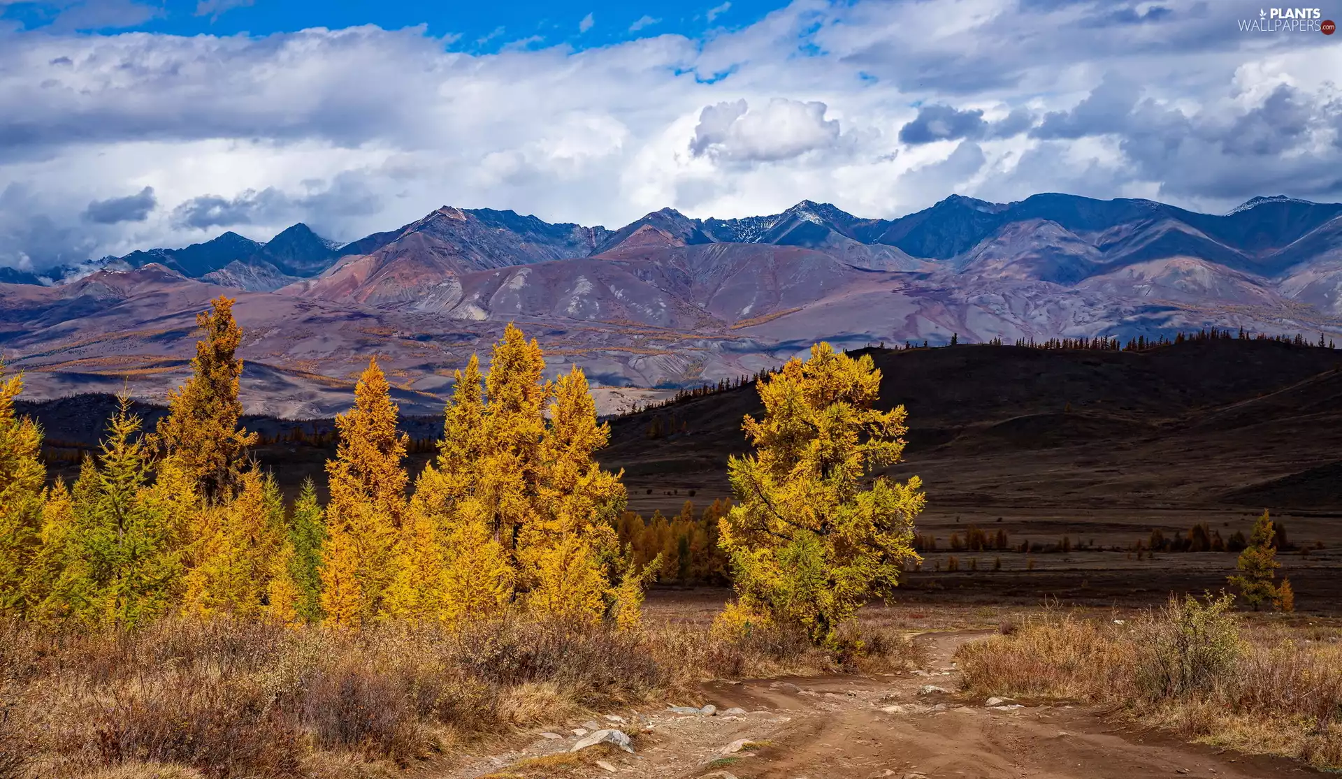 The Hills, autumn, viewes, Way, trees, Mountains