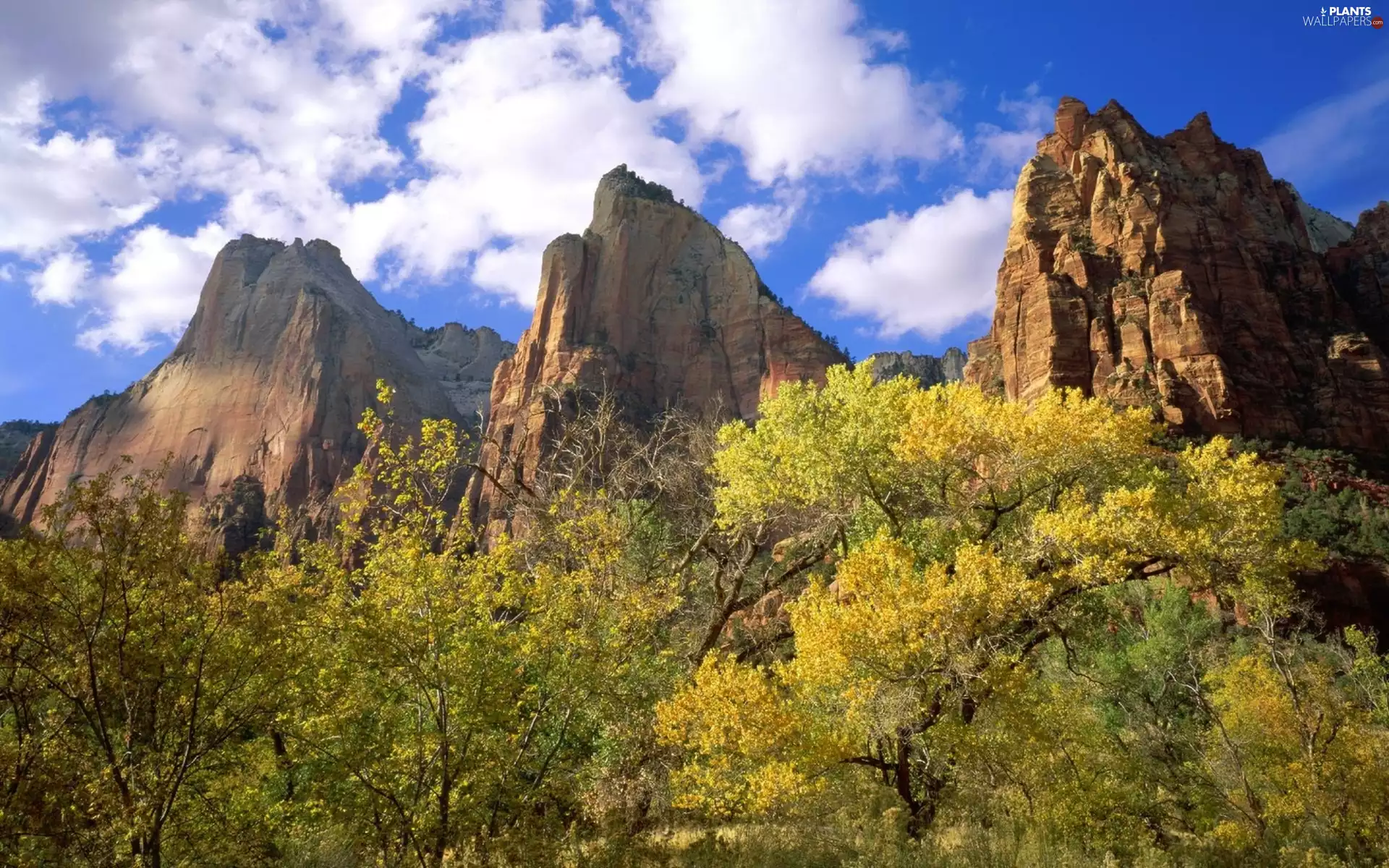 trees, viewes, autumn, clouds, Mountains