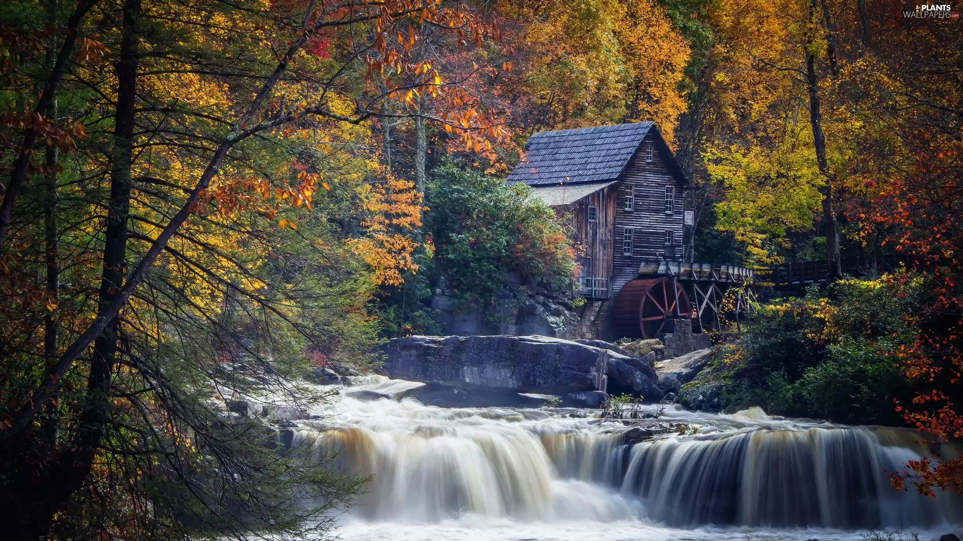 Stones, trees, River, Leaf, house, forest, viewes, autumn, branch pics, Watermill