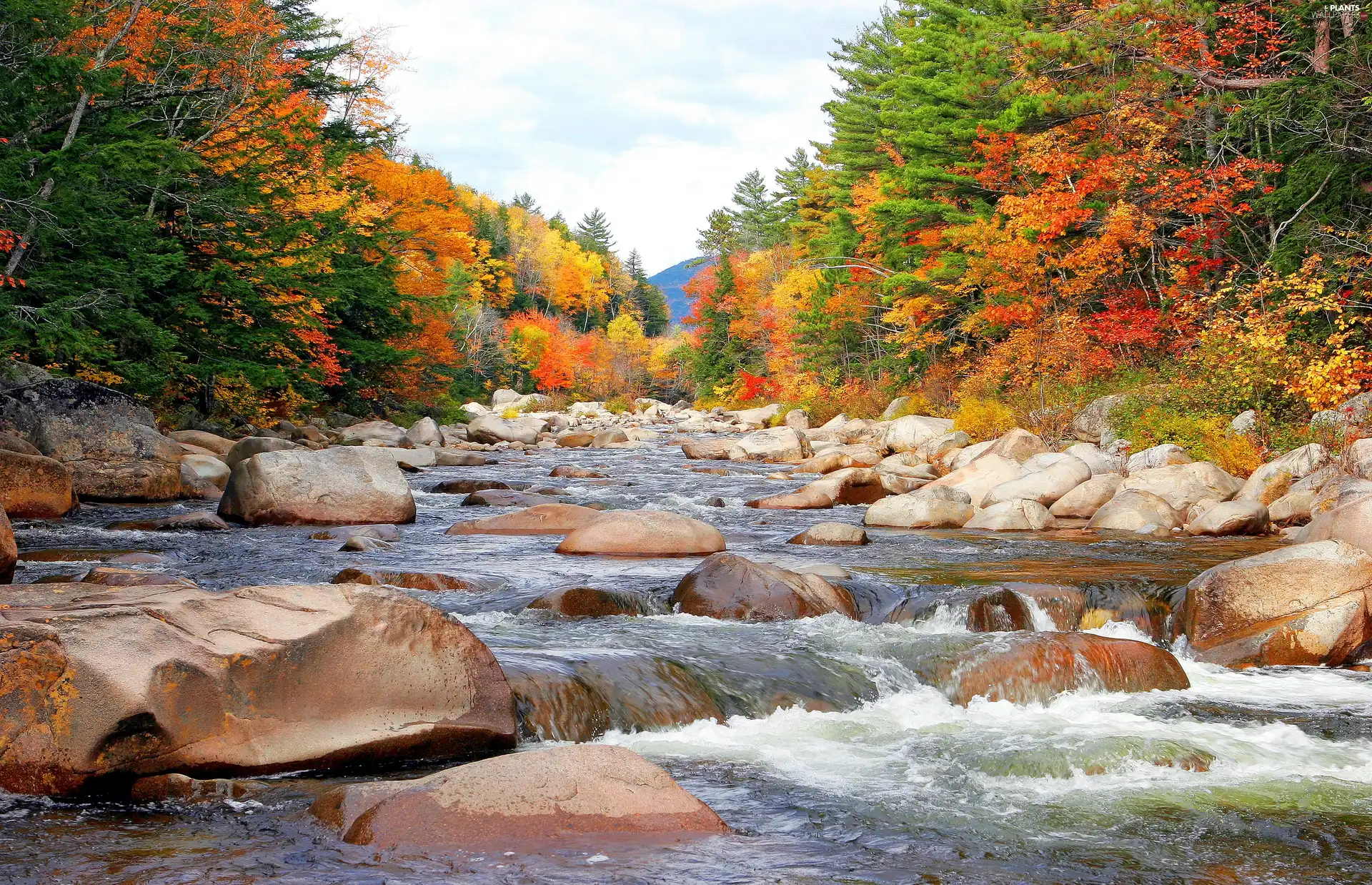 viewes, autumn, Stones, trees, River