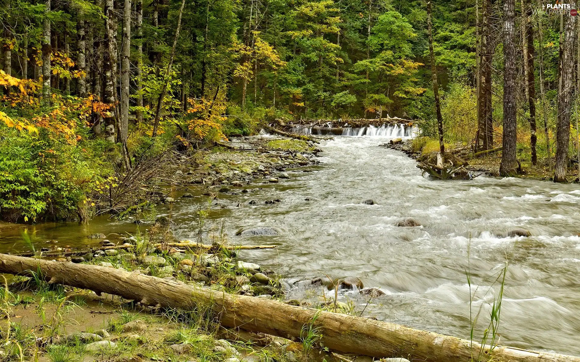 viewes, autumn, waterfall, trees, River