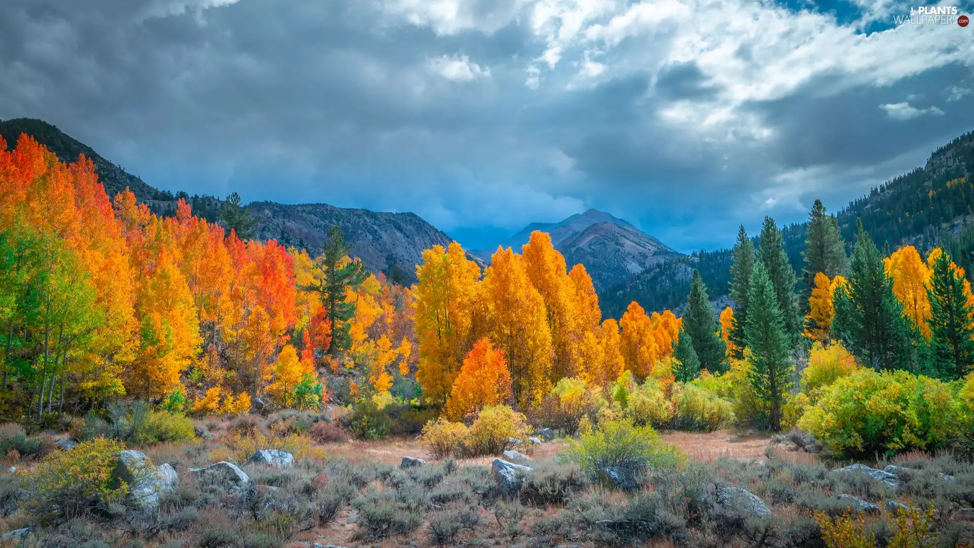 VEGETATION, trees, autumn, viewes, Mountains, Stones, clouds