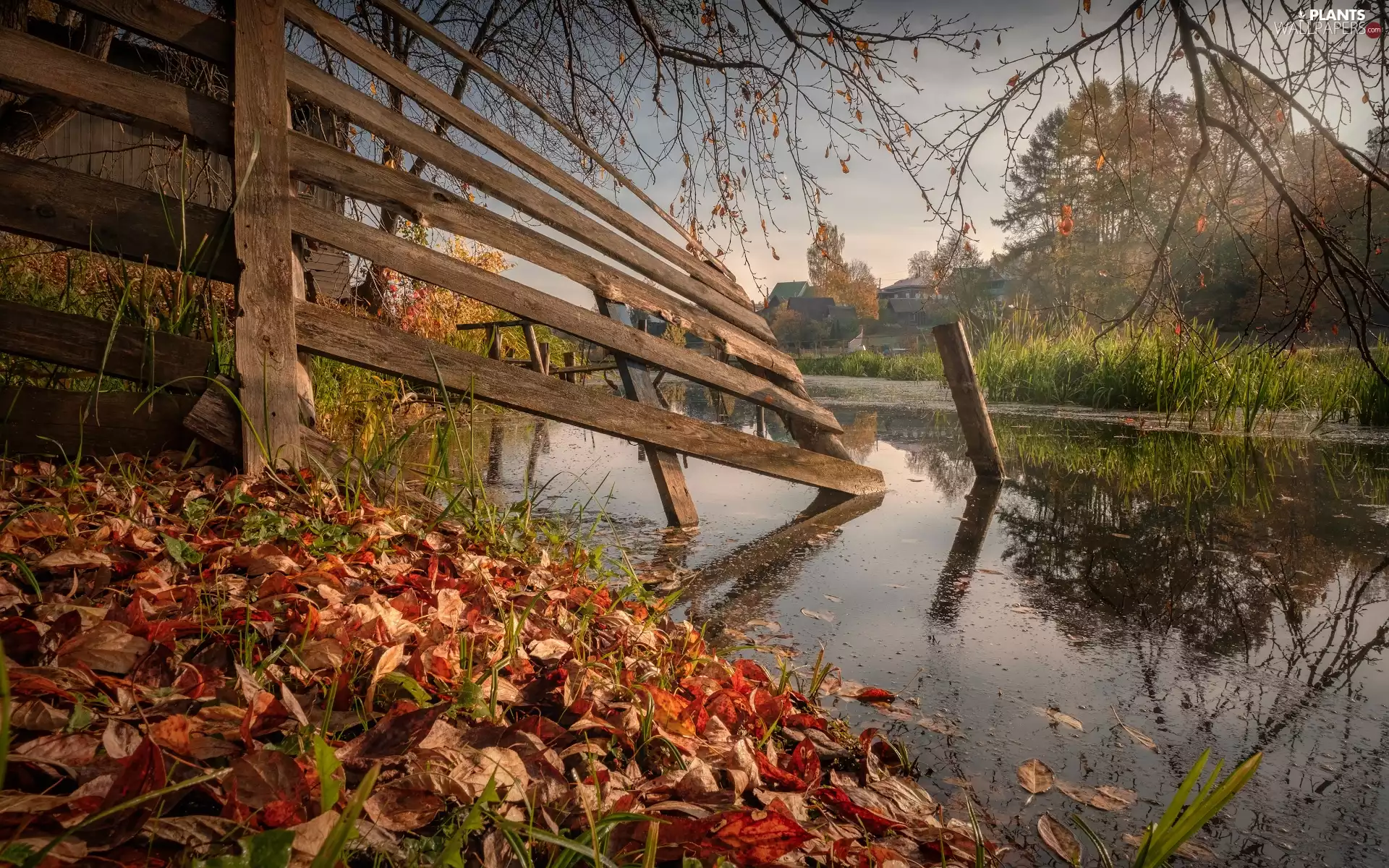 viewes, fence, Houses, Fance, Leaf, trees, autumn, Pond - car