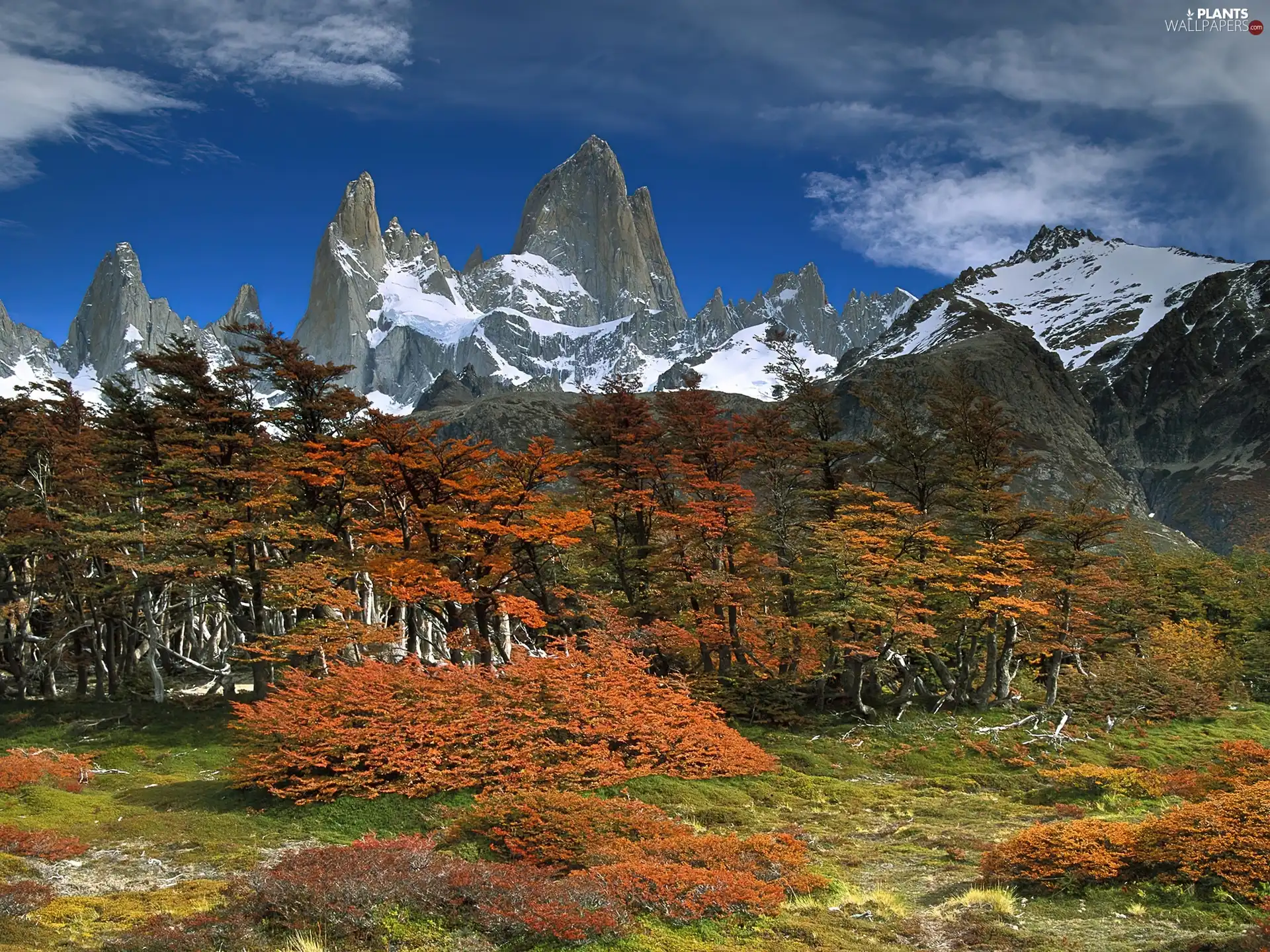 autumn, trees, viewes, Mountains