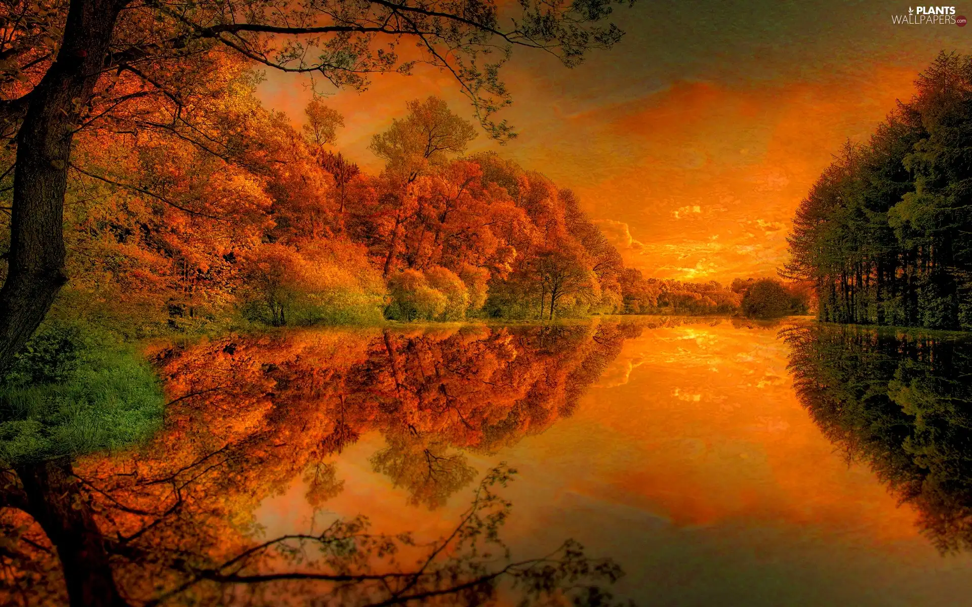 River, west, viewes, autumn, trees, sun