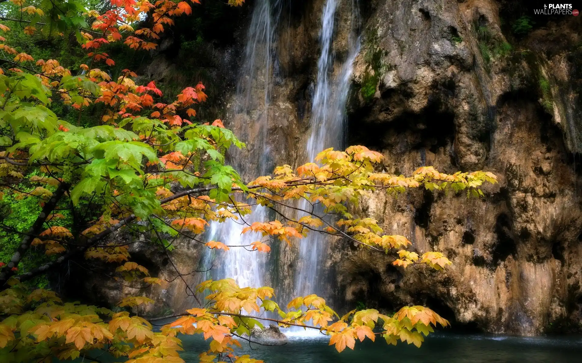 viewes, autumn, rocks, trees, waterfall