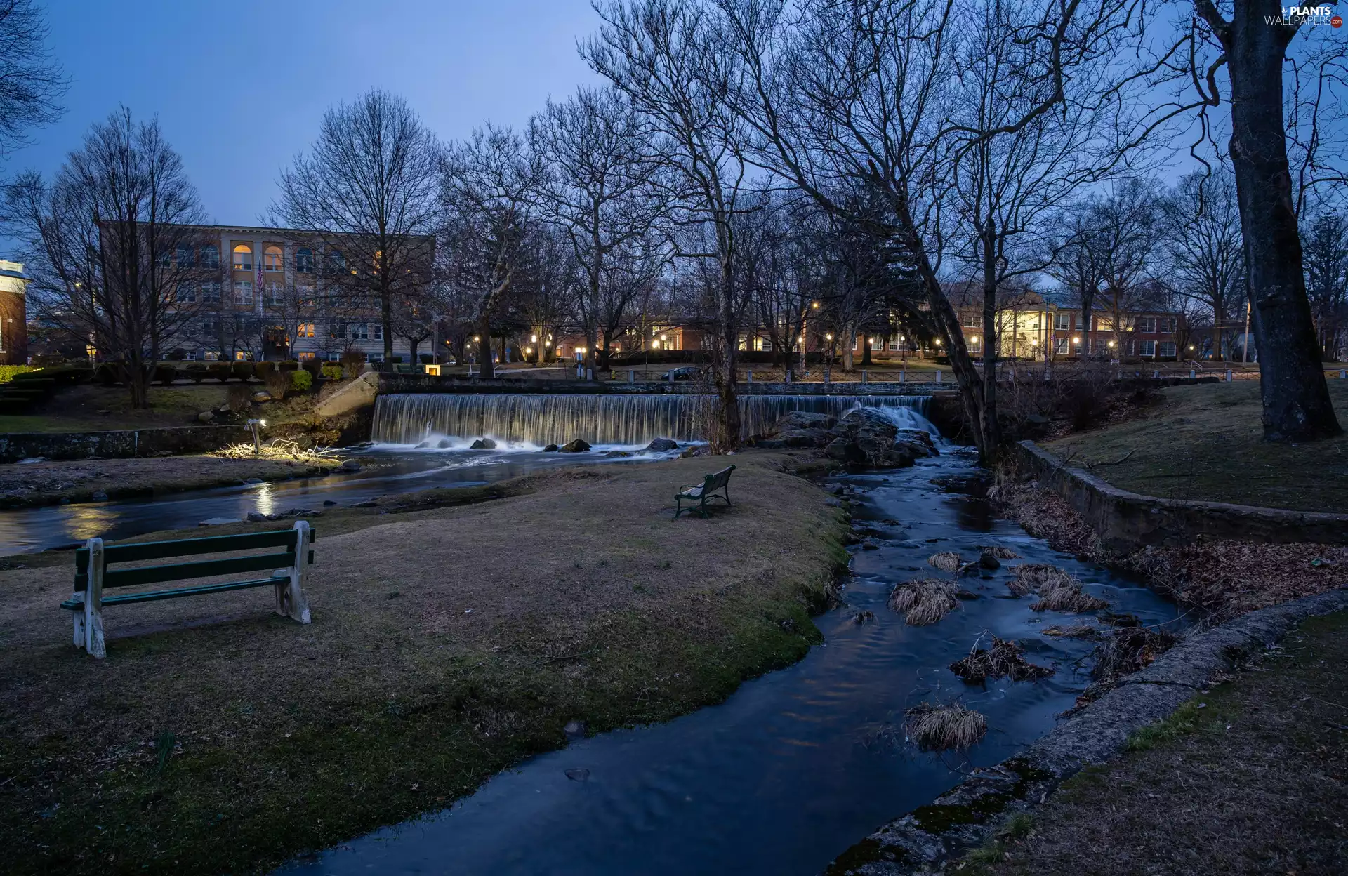 trees, viewes, bench, River, Houses