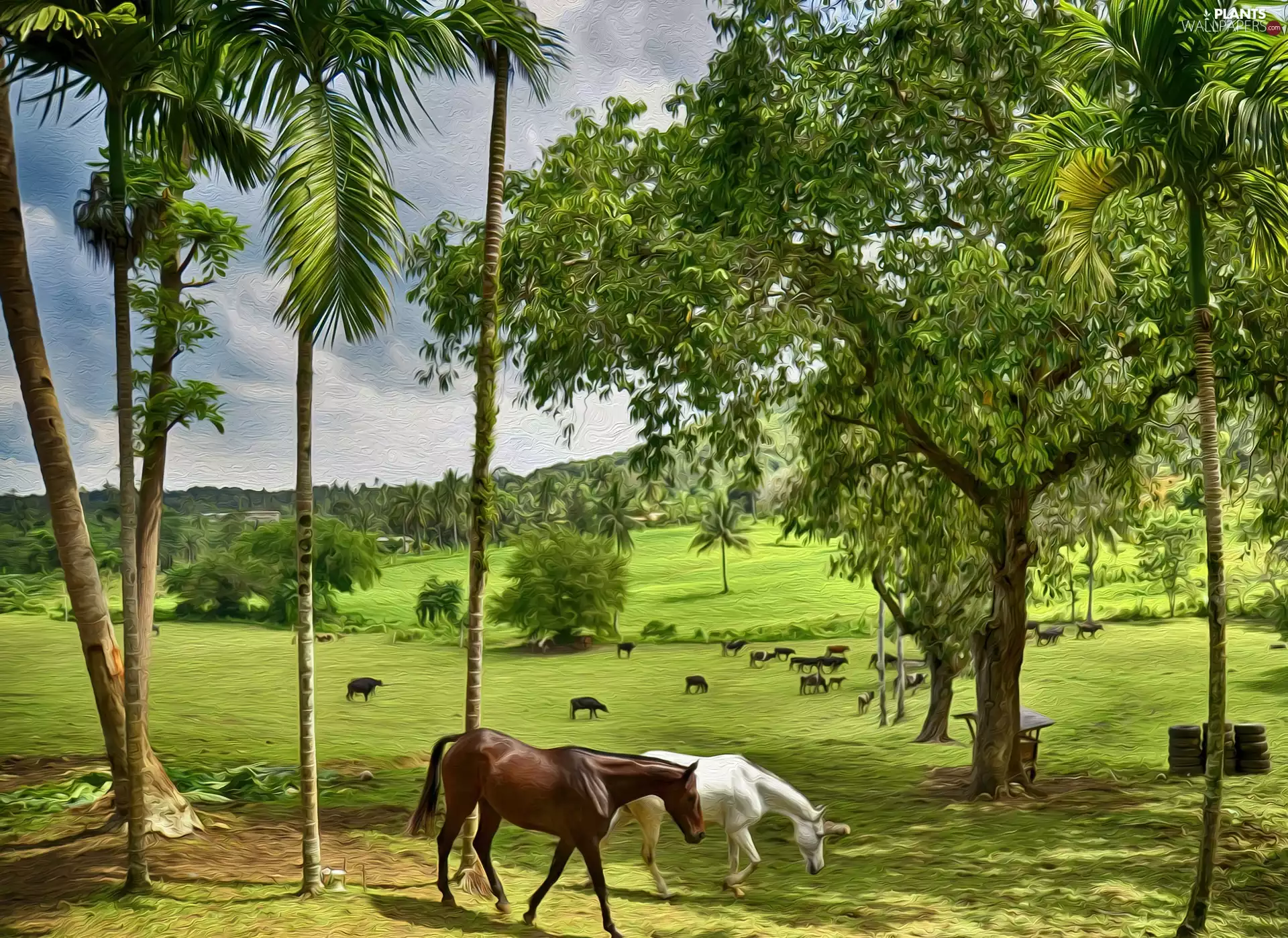 trees, viewes, bloodstock, pasture, picture