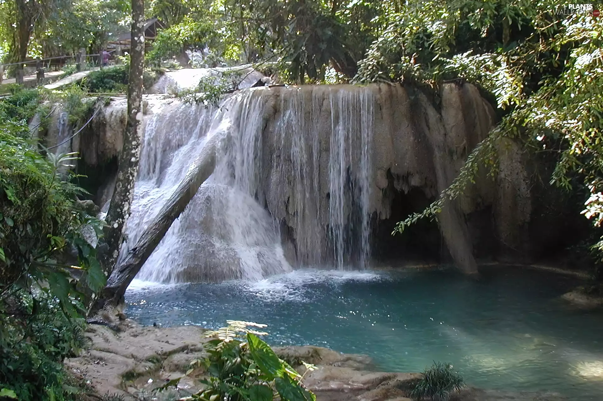 trees, viewes, Blue, water, waterfall