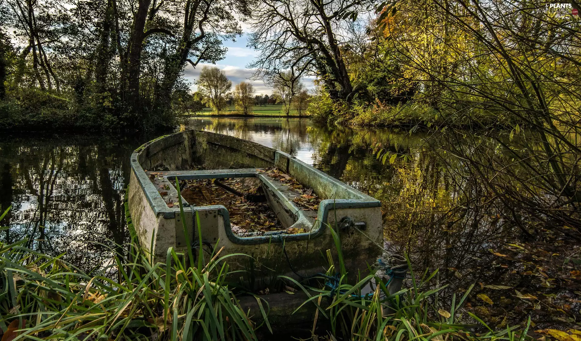 trees, viewes, Boat, River, destroyed