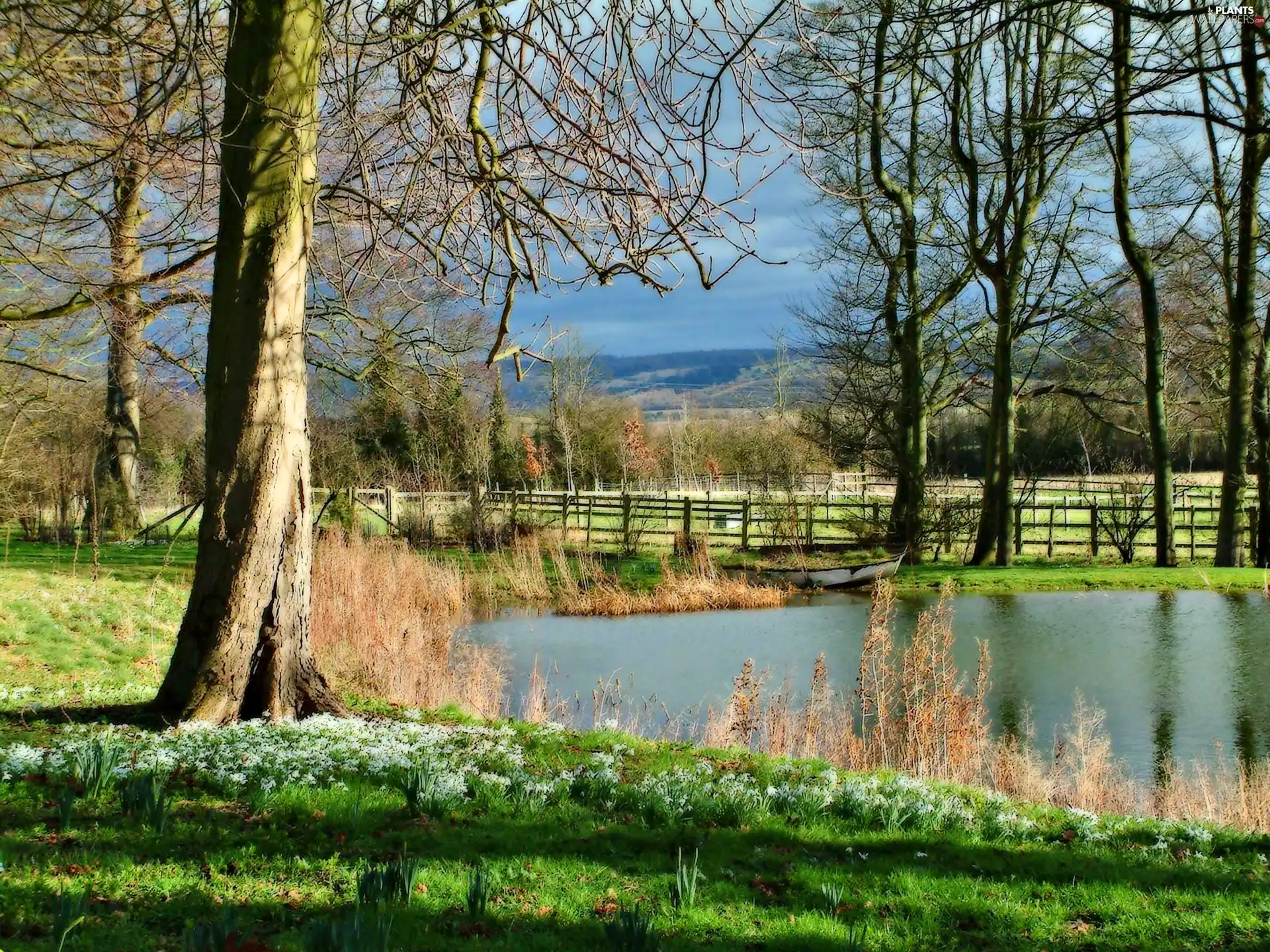 viewes, Boat, lake, trees, Spring