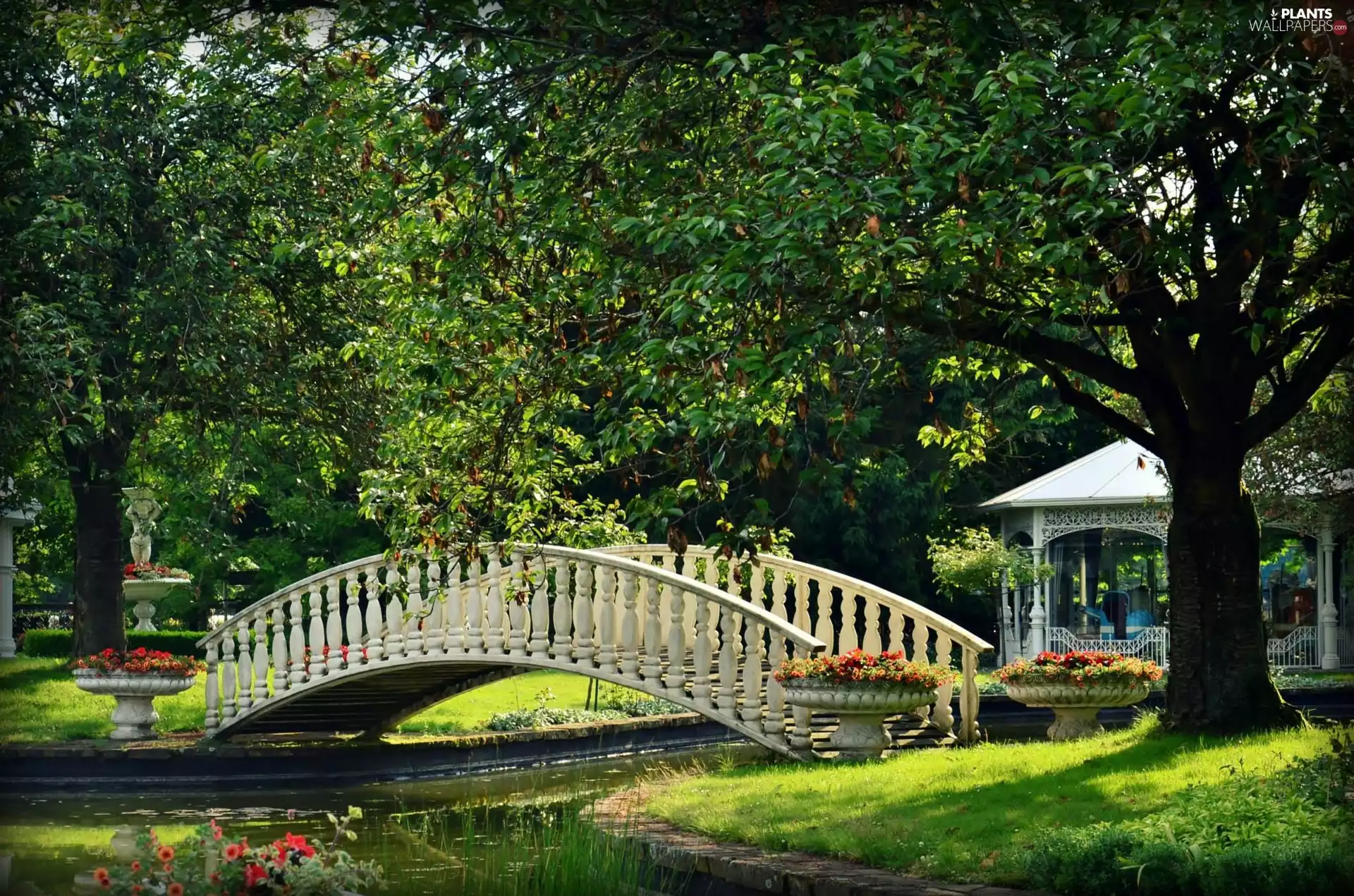 trees, viewes, bridge, arbour, Park