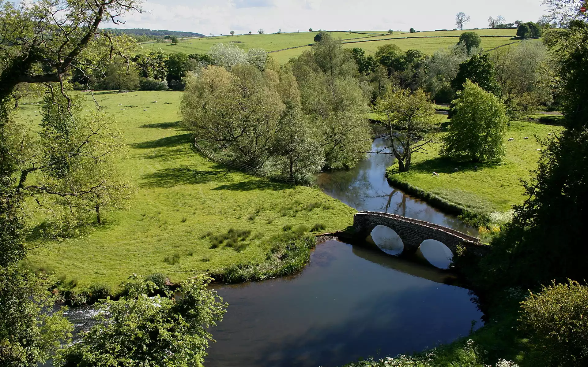 trees, viewes, bridge, medows, River