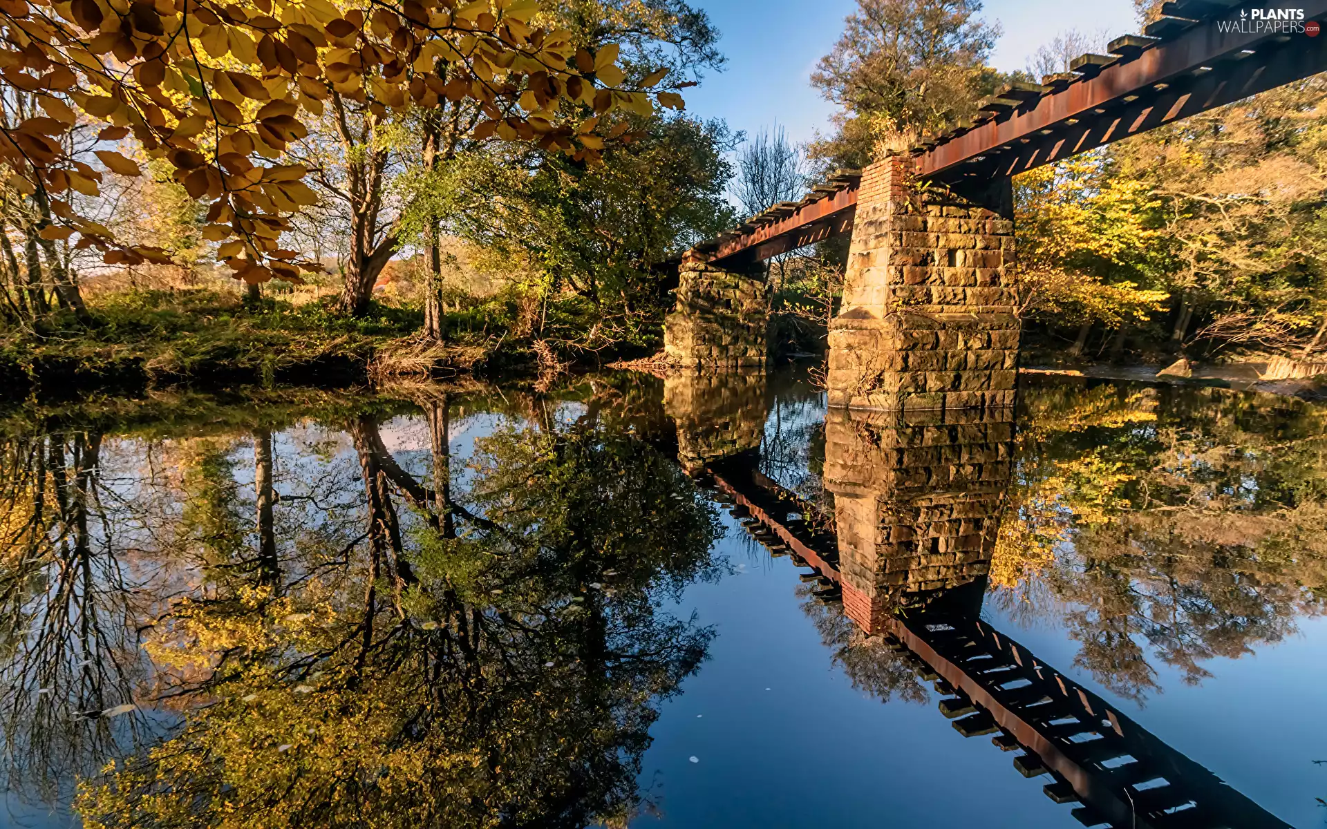 trees, viewes, bridge, reflection, River