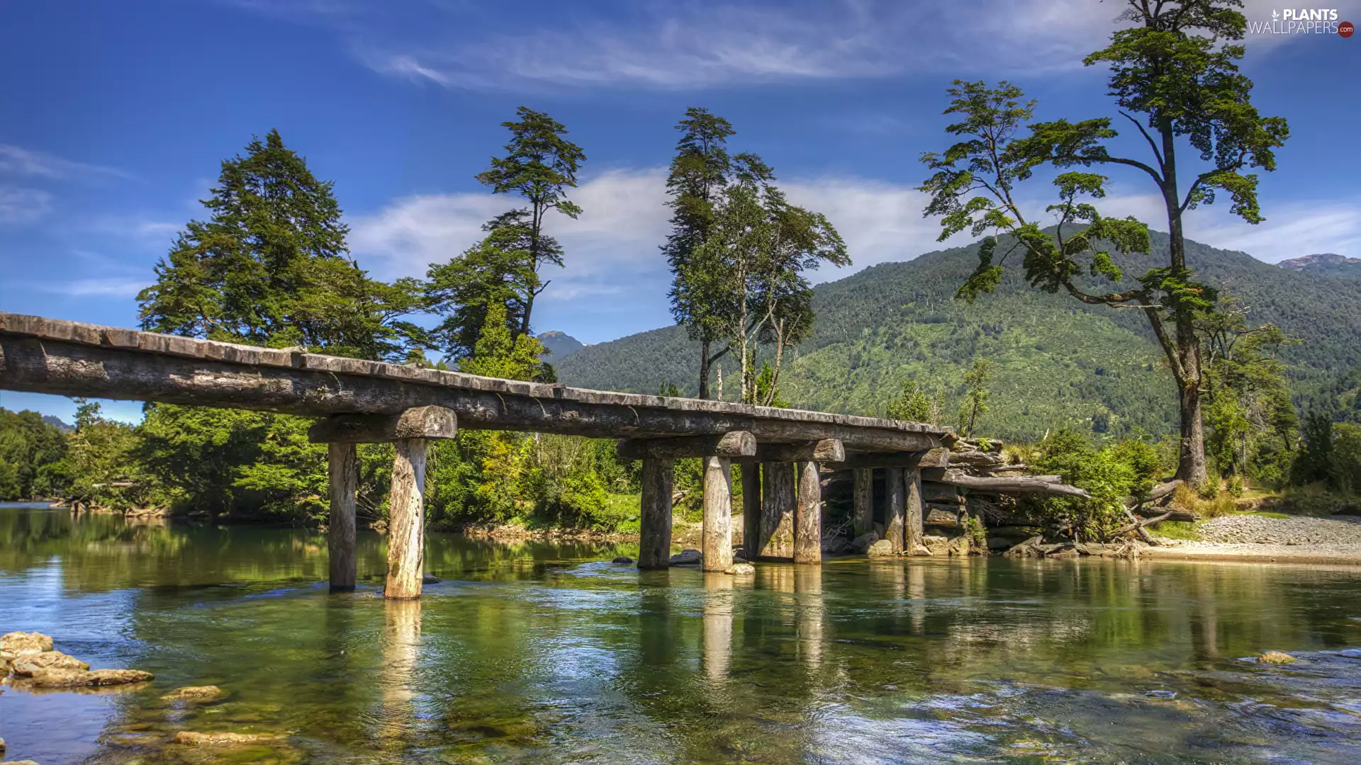 Mountains, River, trees, viewes, forest, bridge