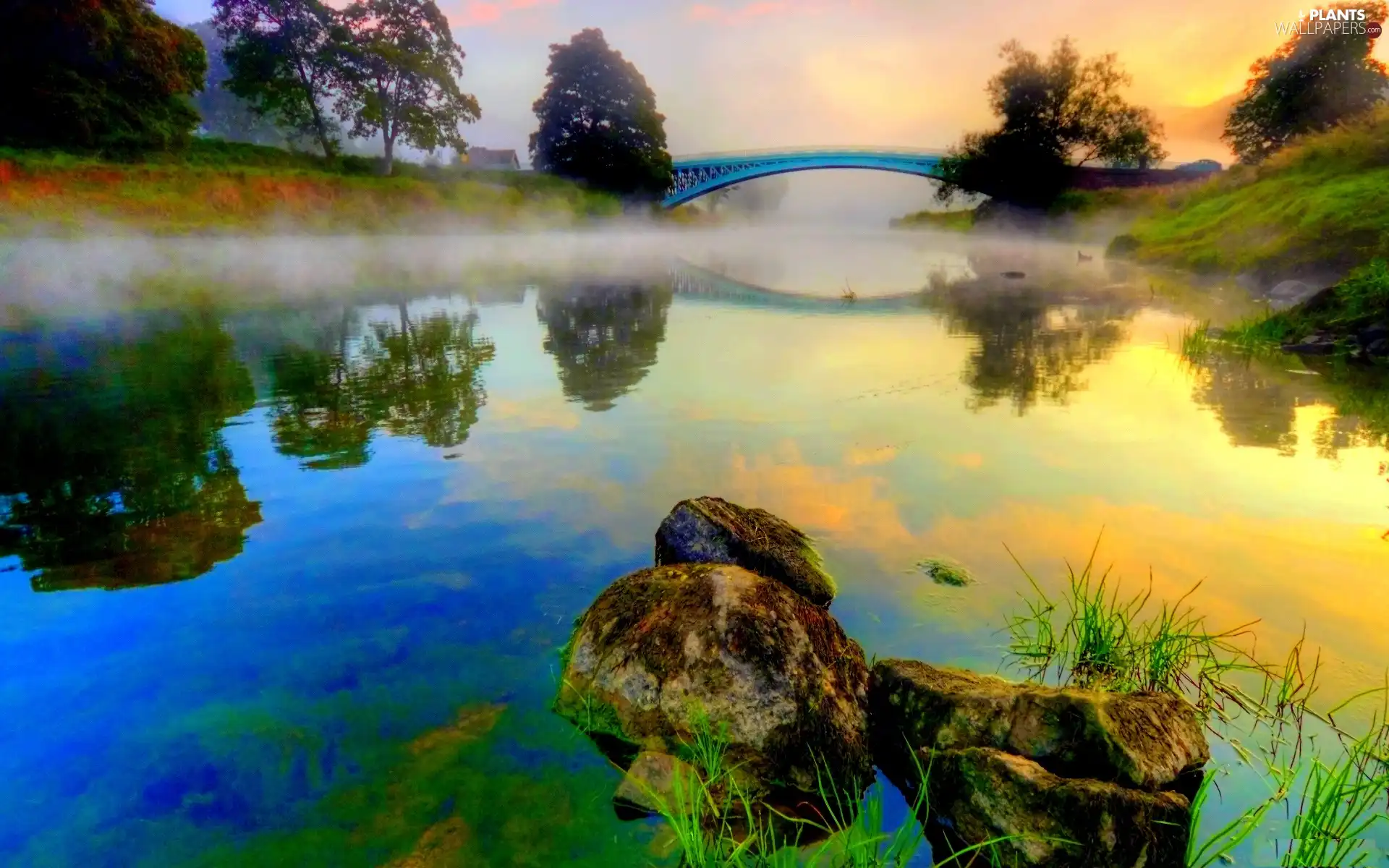 Fog, River, viewes, bridge, trees, Stones