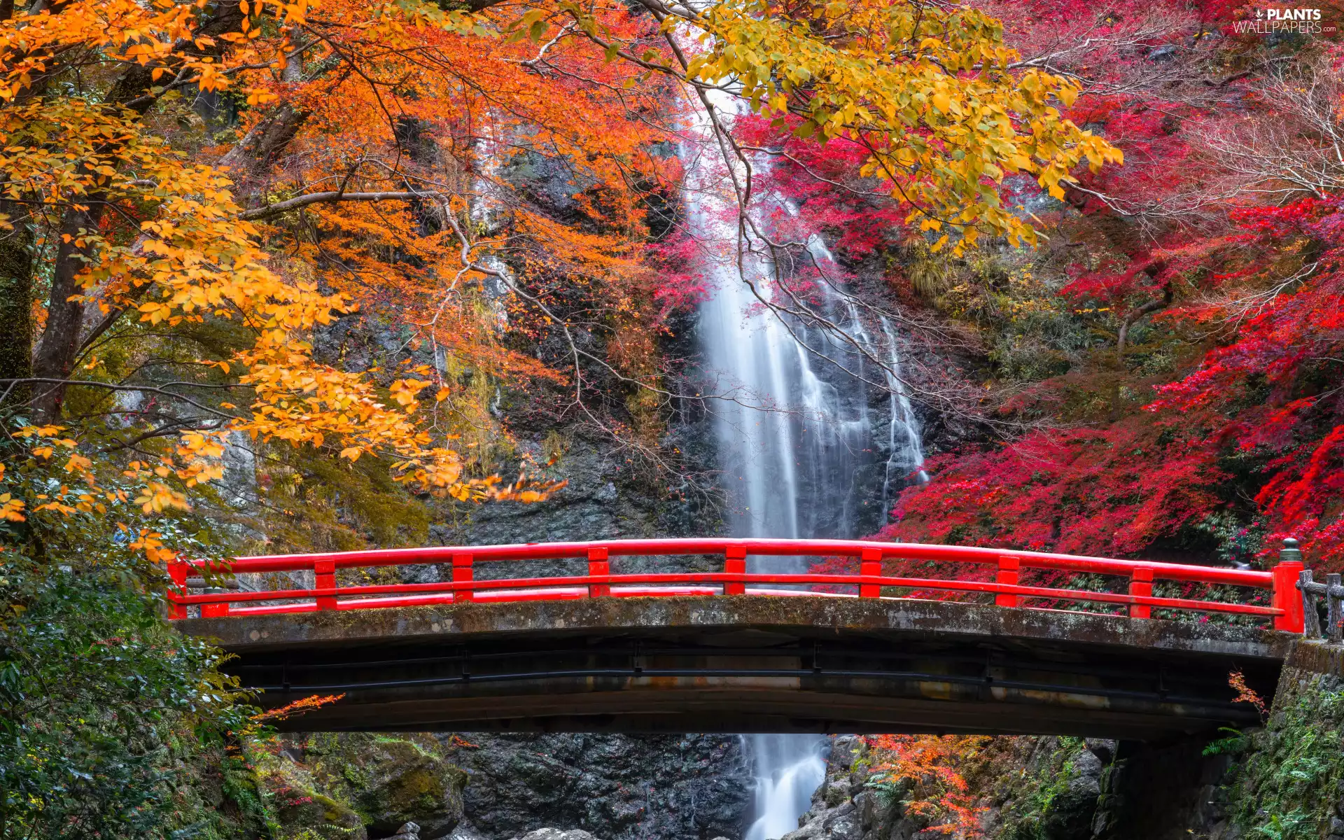 rocks, trees, bridge, viewes, autumn, Red, waterfall