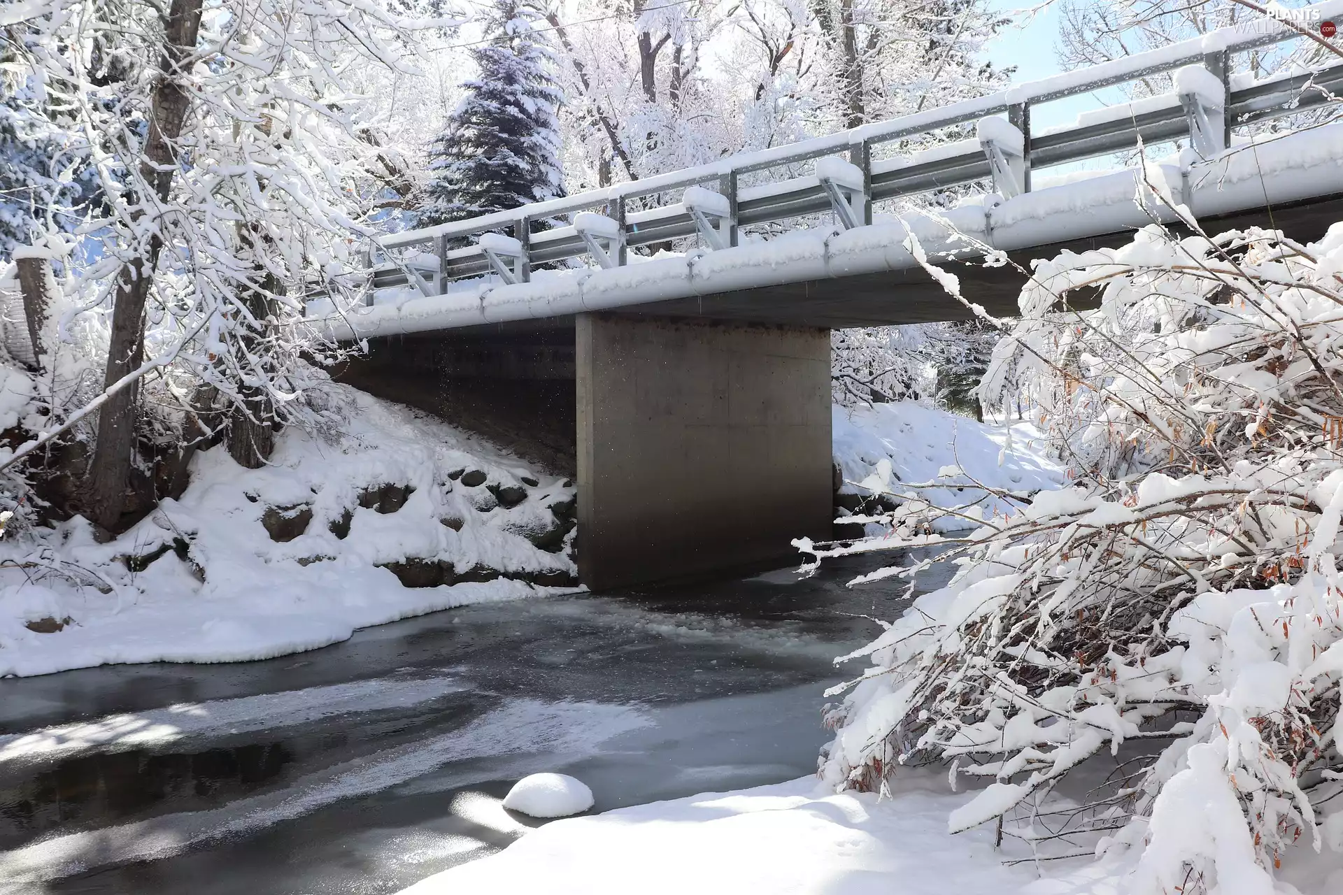 trees, viewes, bridge, River, winter