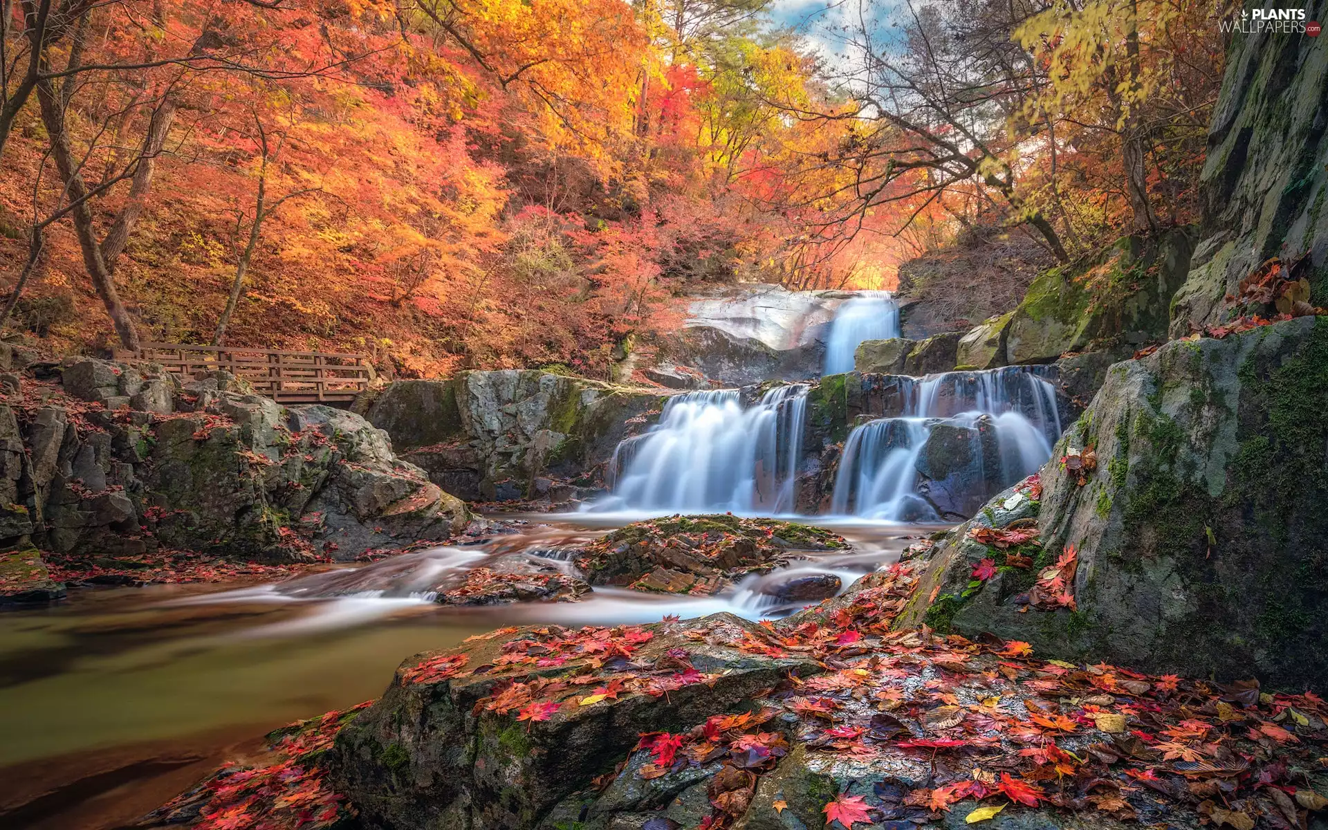 rocks, autumn, bridges, trees, Leaf, River, waterfall, viewes