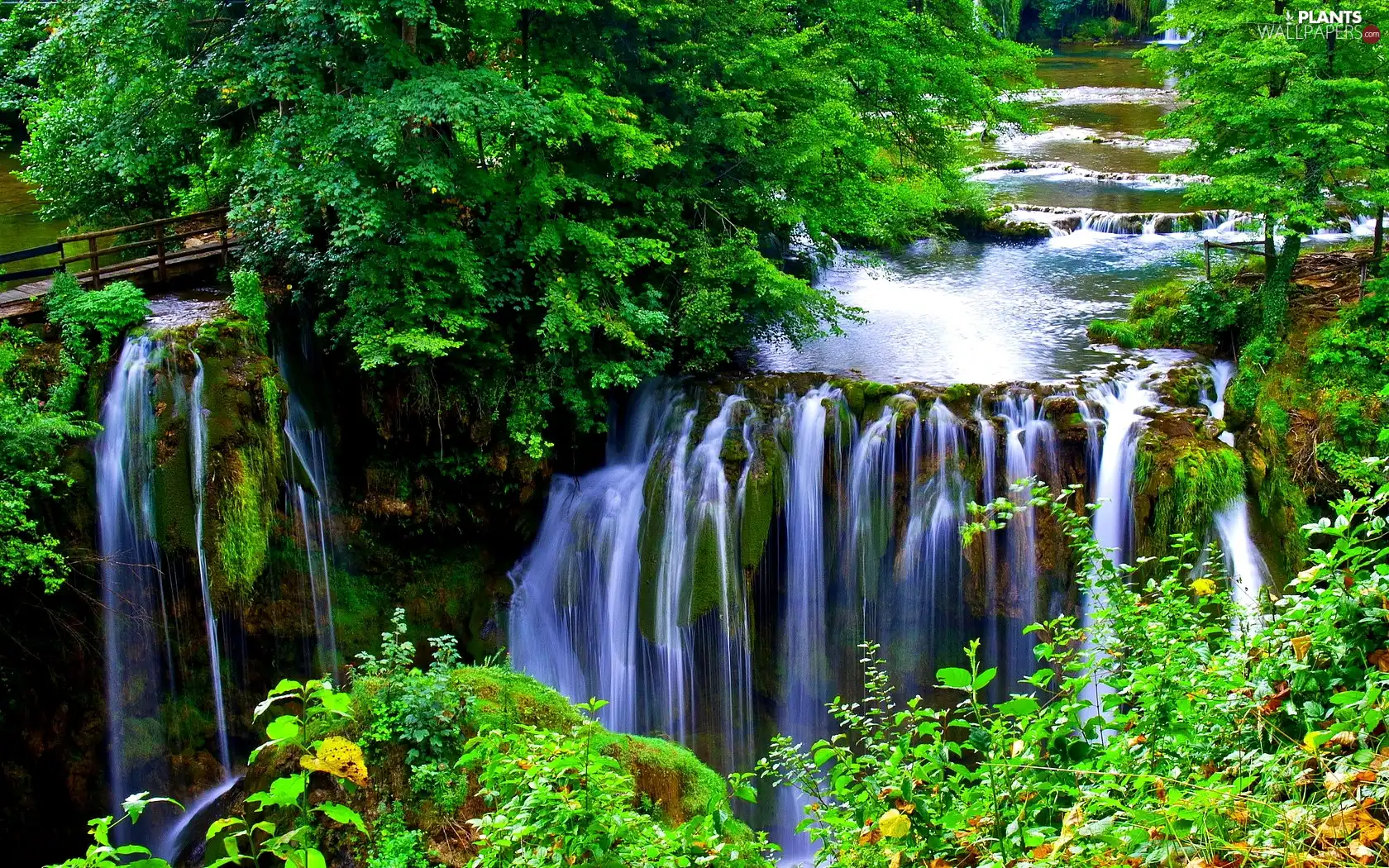 viewes, bridges, waterfall, trees, Beatyfull