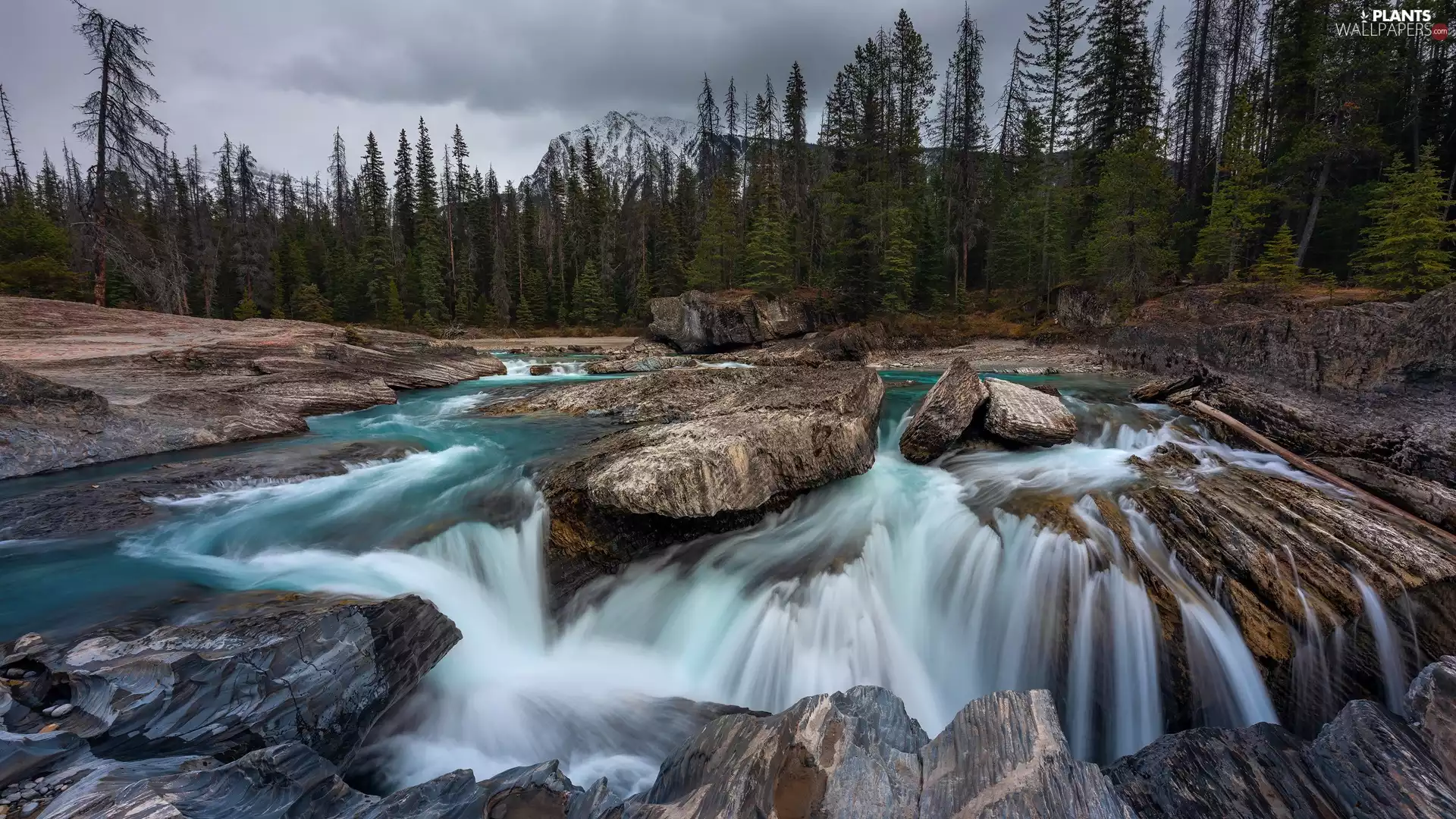 Yoho National Park, River, clouds, rocks, viewes, British Columbia, Canada, trees