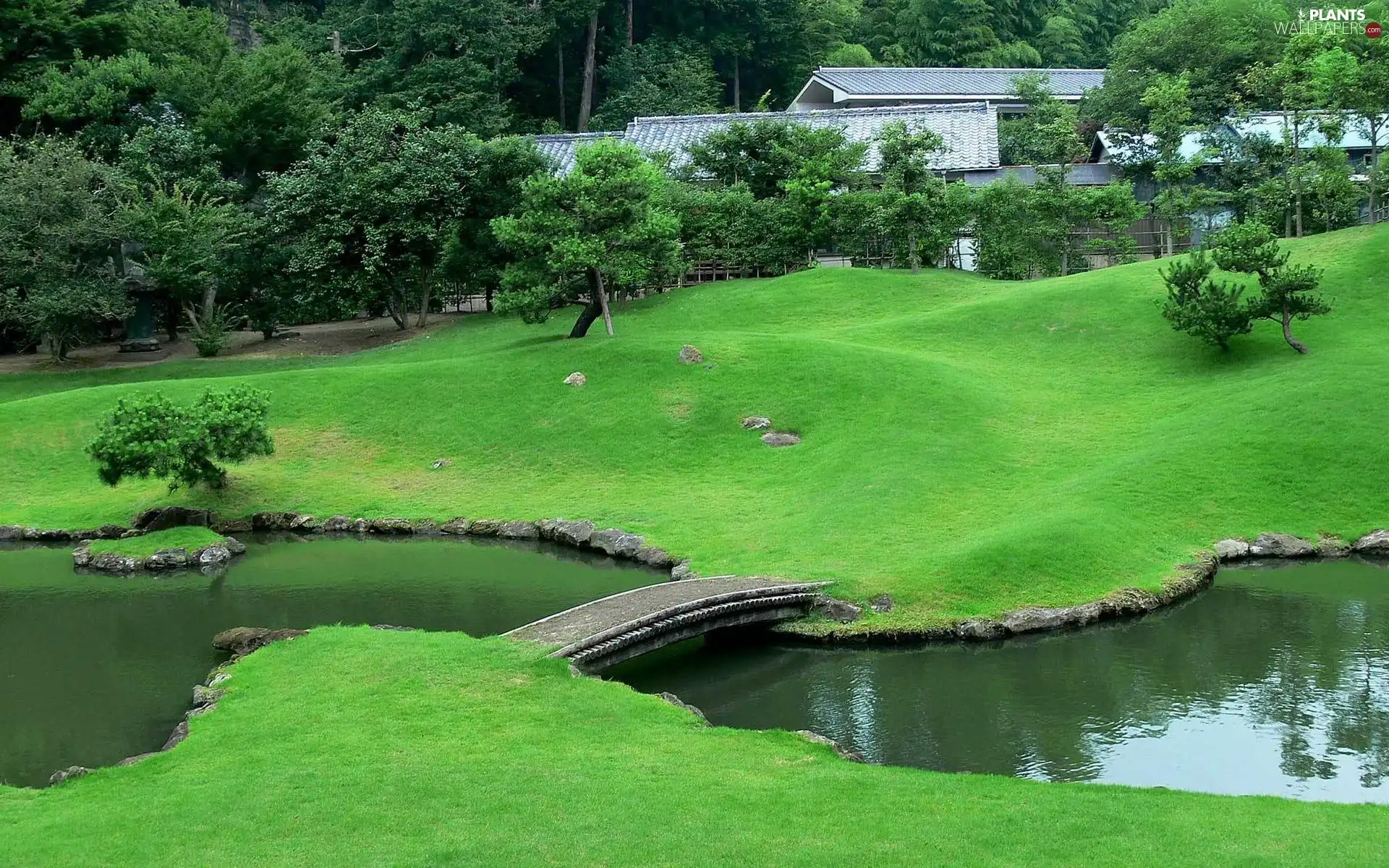 brook, trees, viewes, lawns