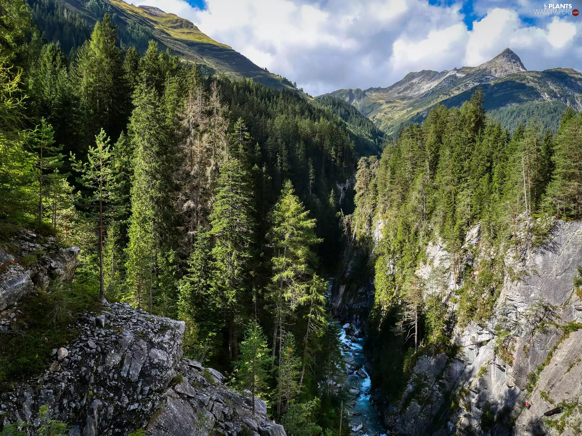 rocks, River, trees, viewes, Mountains, canyon