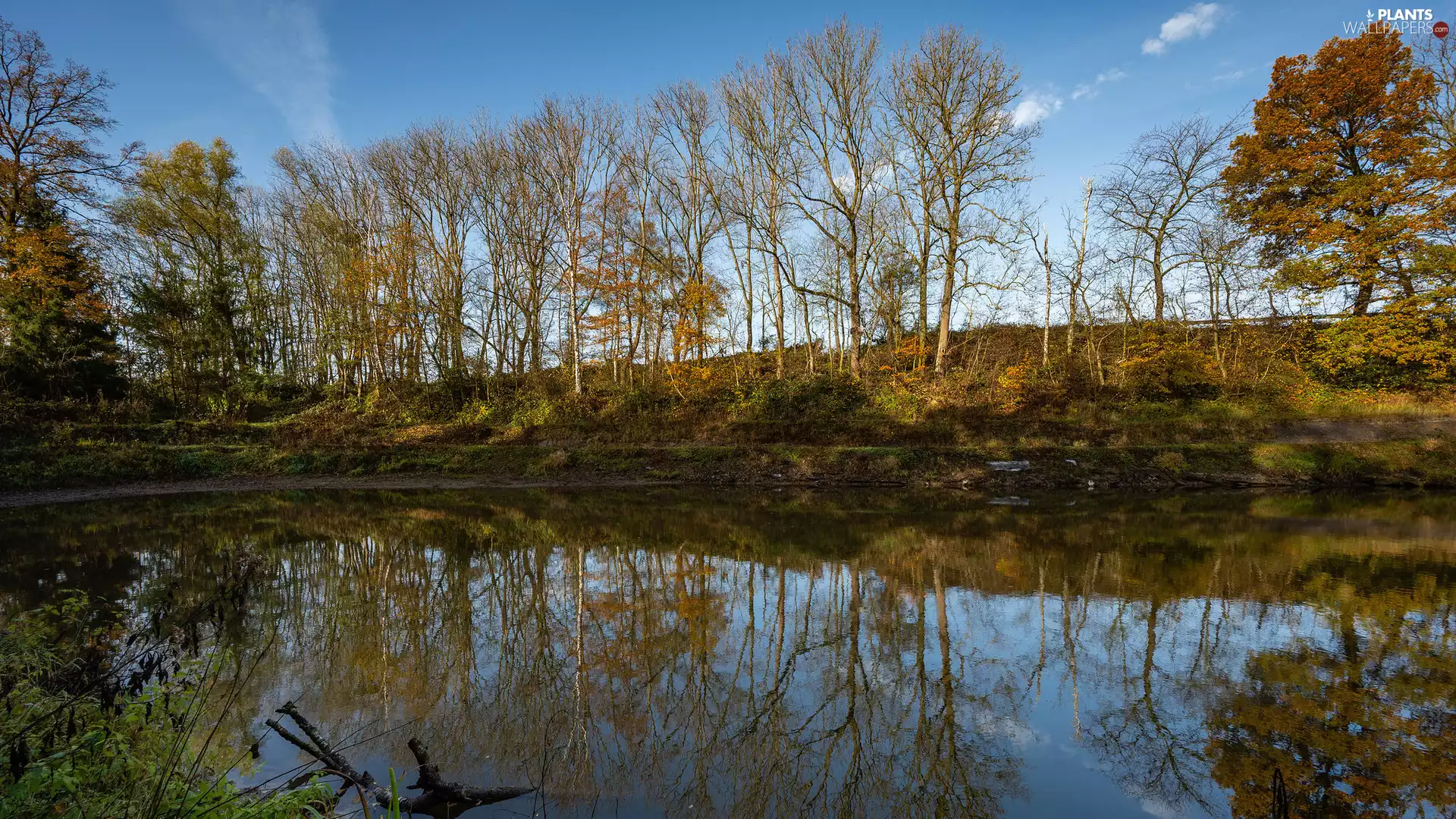 reflection, autumn, trees, viewes, Pond - car