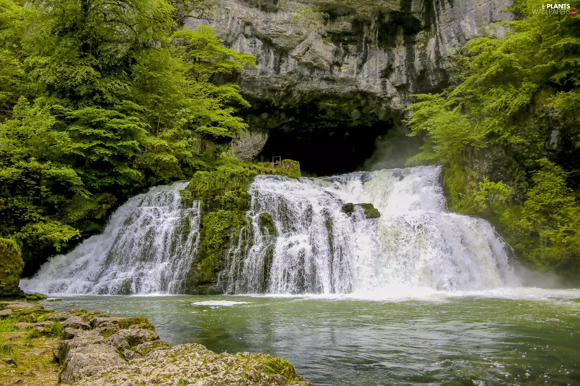 Rocks, waterfall, trees, viewes, forest, cave